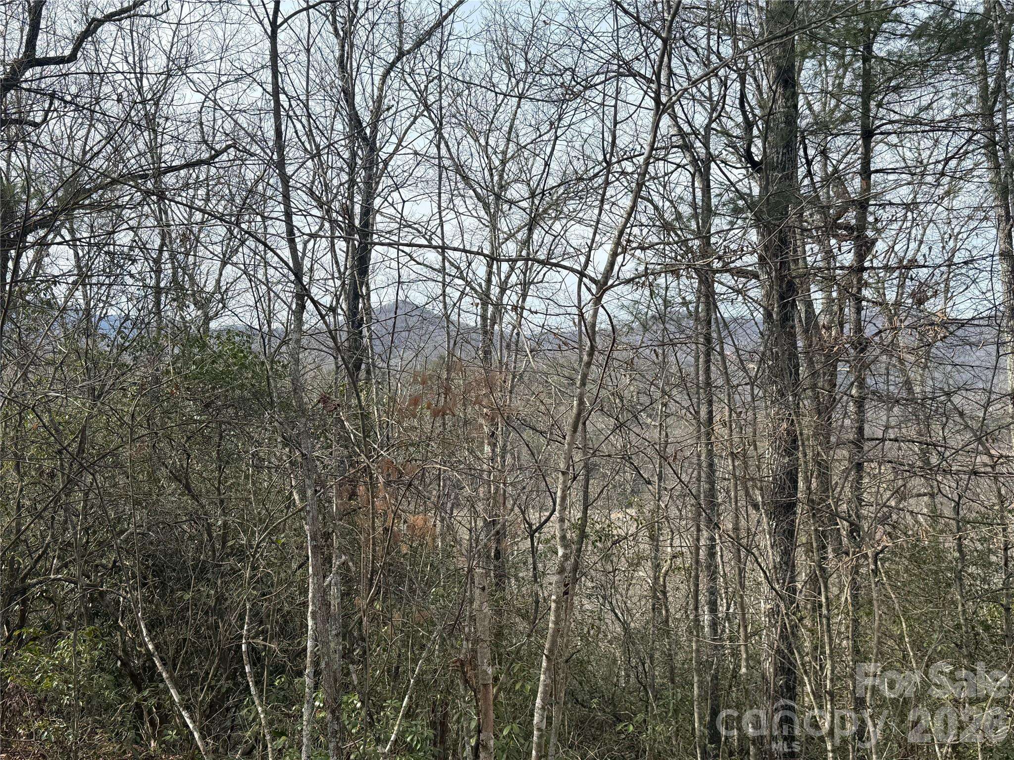 Lot 10, 11 River Run RUN, Franklin, NC 28734