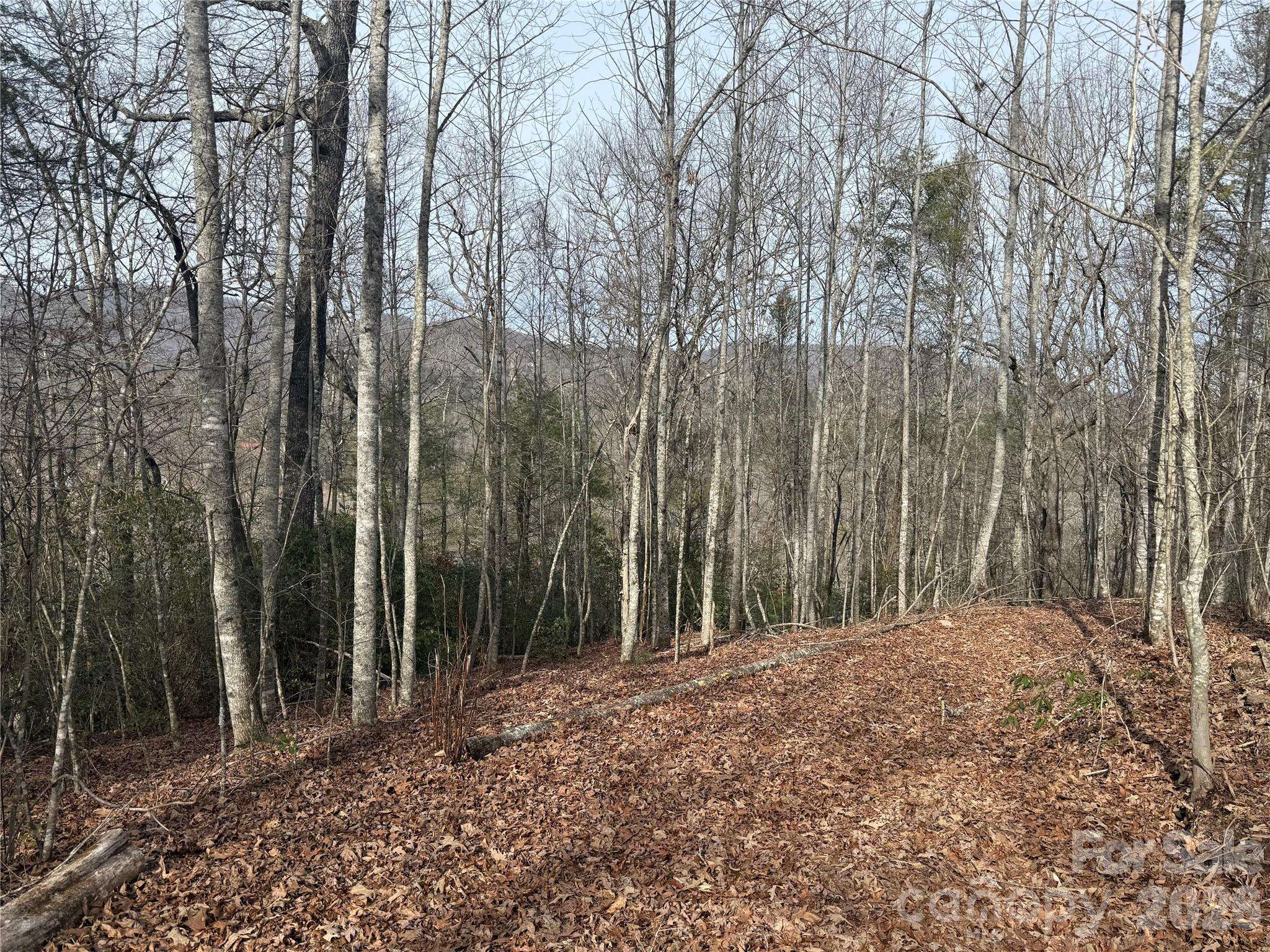 Lot 10, 11 River Run RUN, Franklin, NC 28734