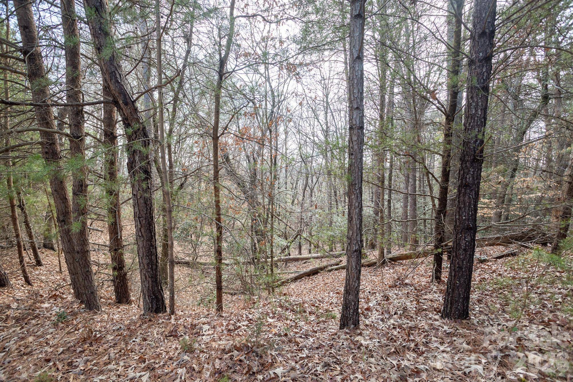 4012 Beechwood Spring LN, Belmont, NC 28012