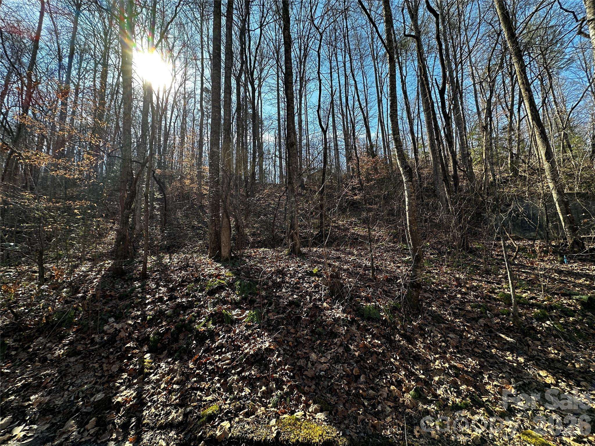 Lot 11 Blue Mist Mountain RD, Whittier, NC 28789