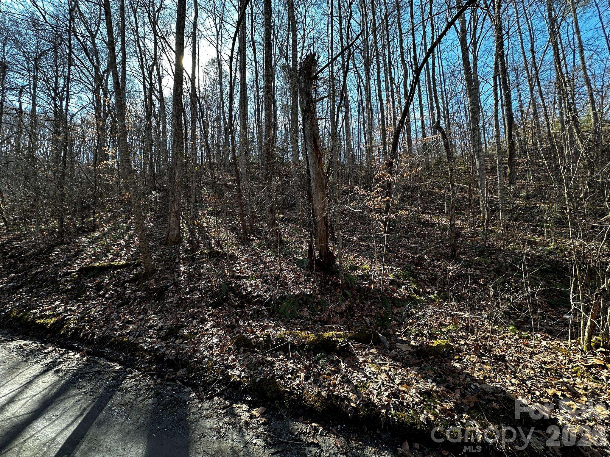 Lot 11 Blue Mist Mountain RD, Whittier, NC 28789