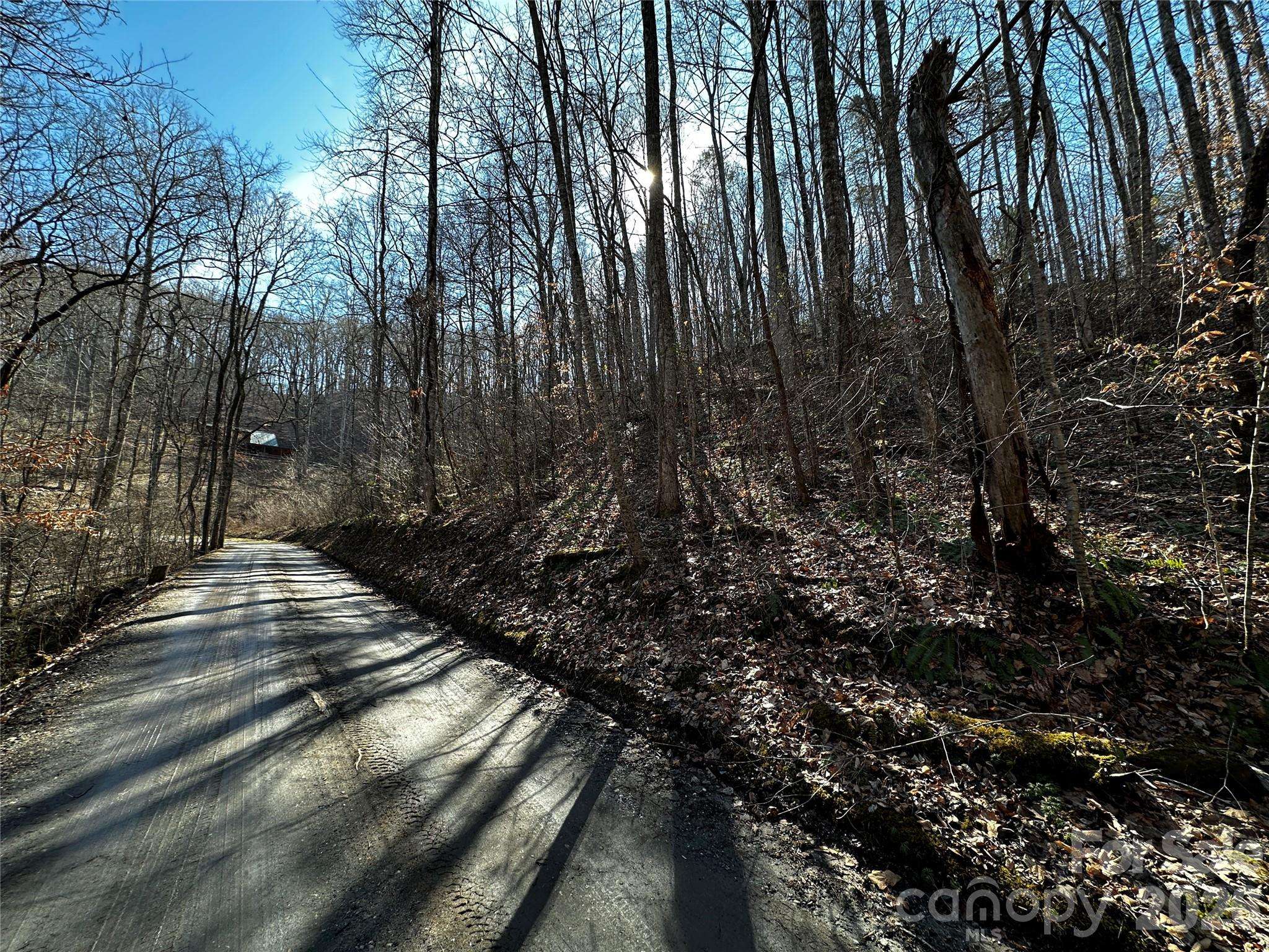 Lot 11 Blue Mist Mountain RD, Whittier, NC 28789