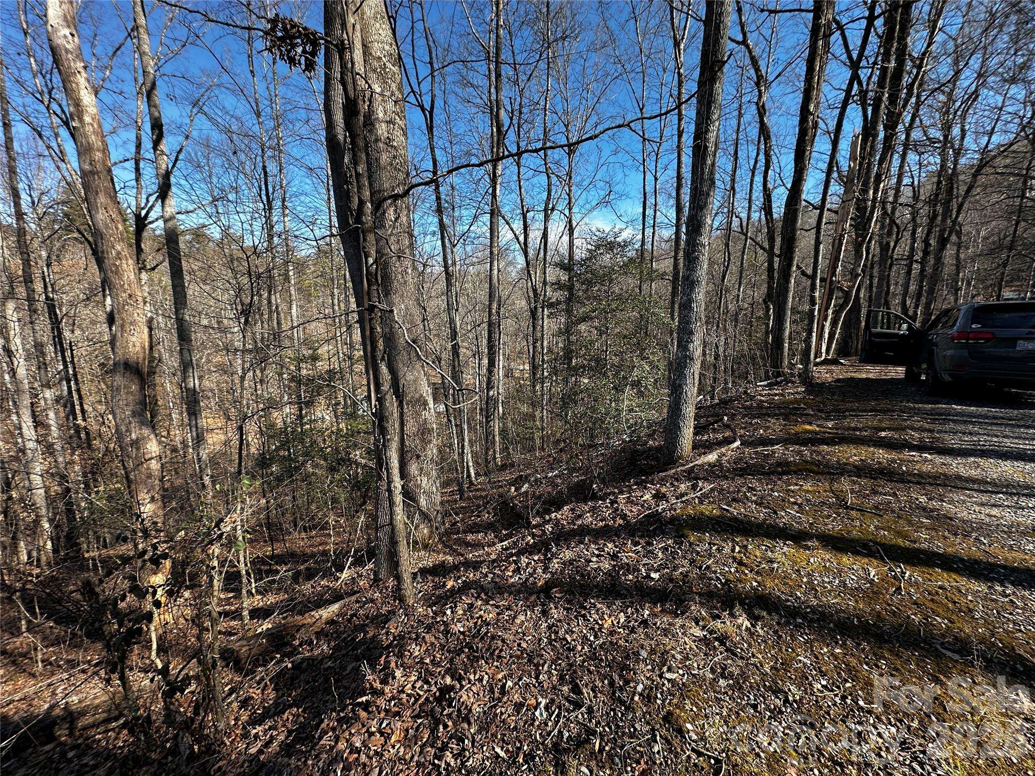 Lot 11 Blue Mist Mountain RD, Whittier, NC 28789