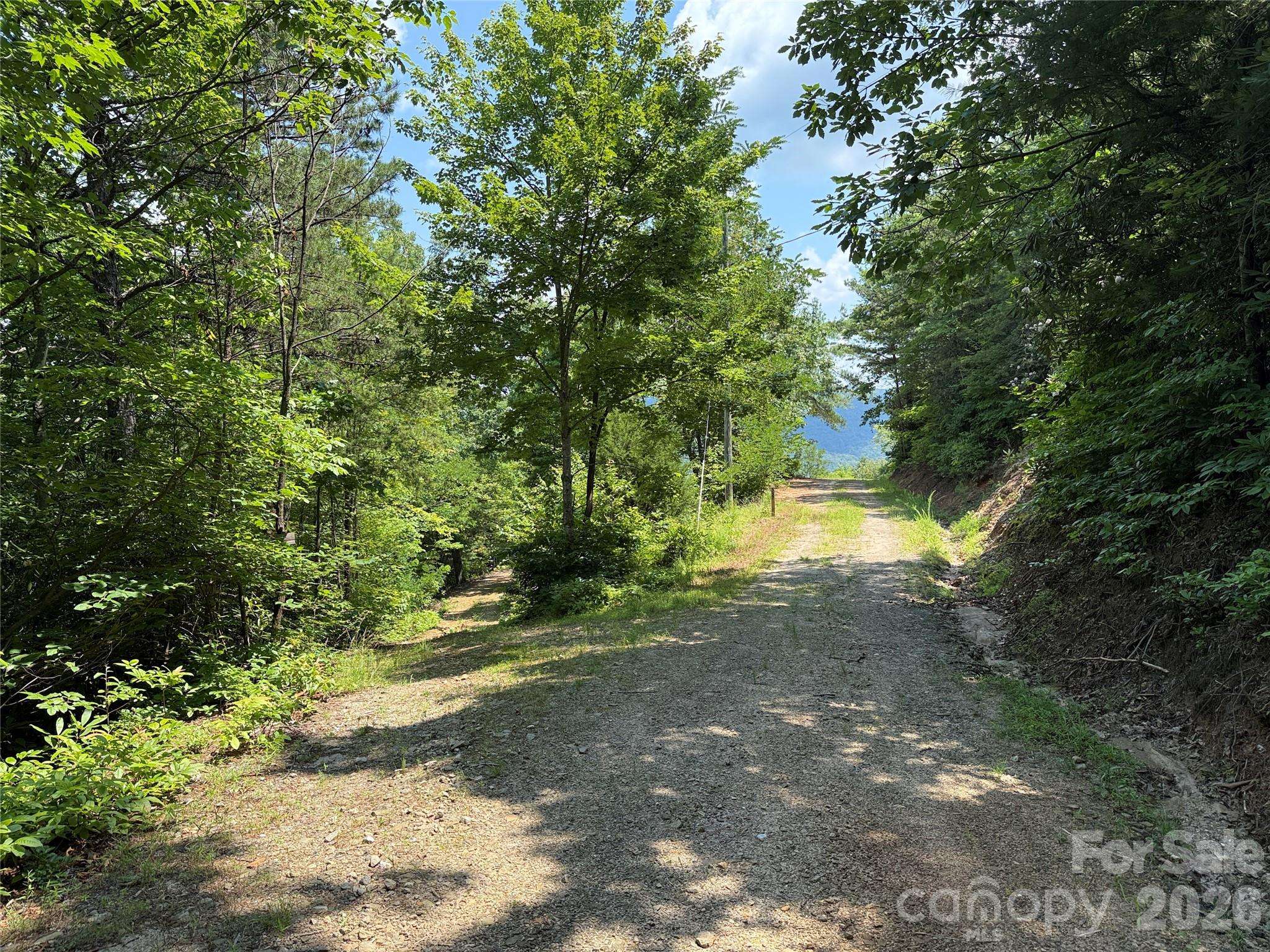 337 Lucas Path DR #69, Purlear, NC 28665
