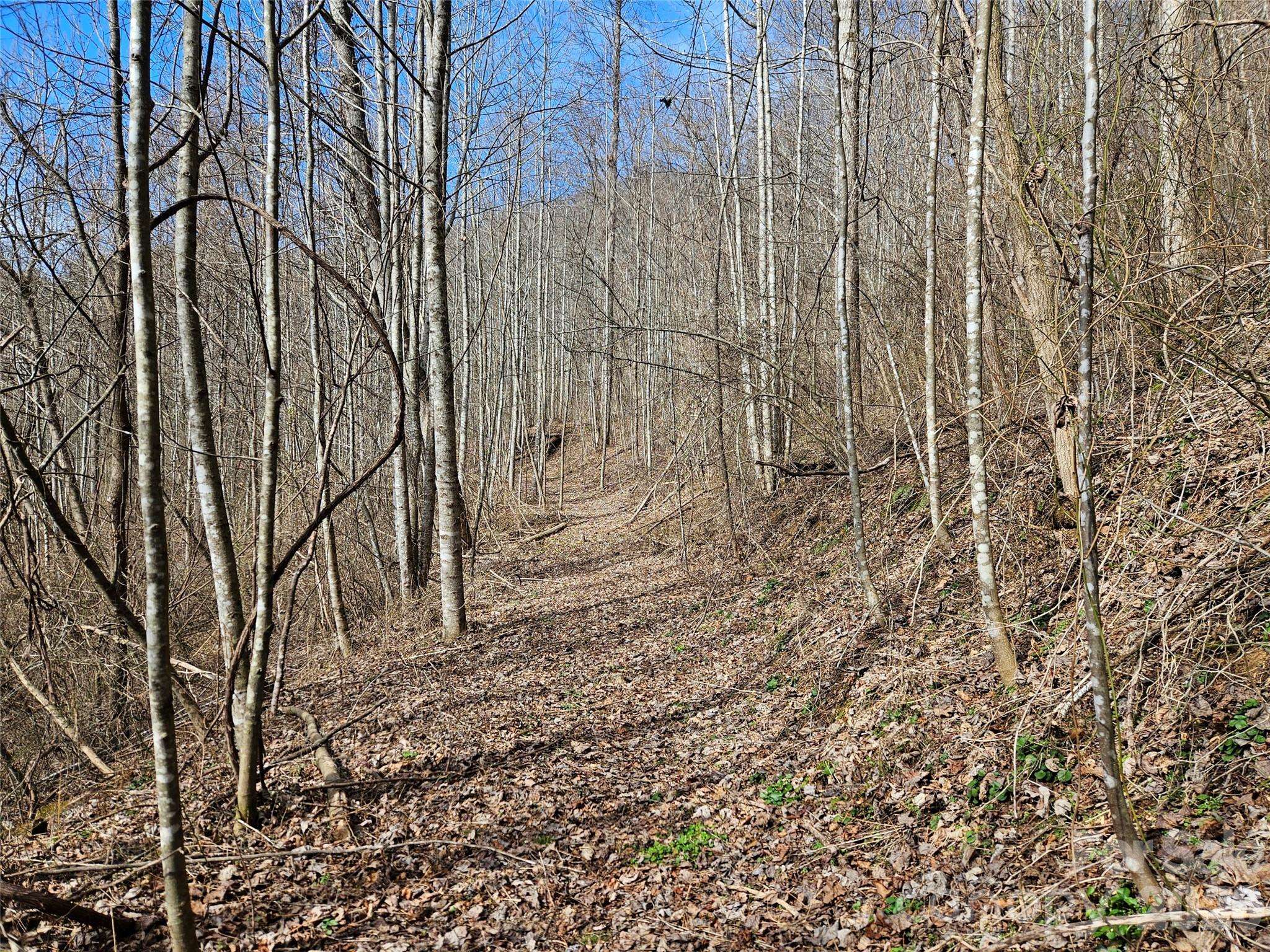 0 Woodfin RD, Sylva, NC 28779