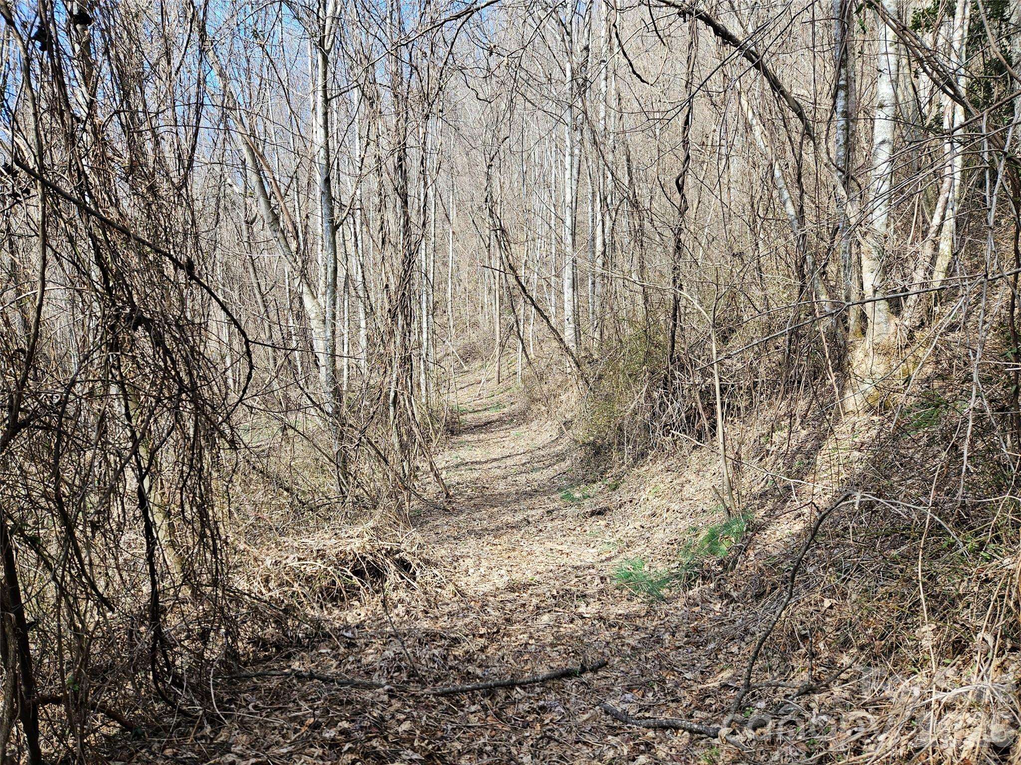 0 Woodfin RD, Sylva, NC 28779