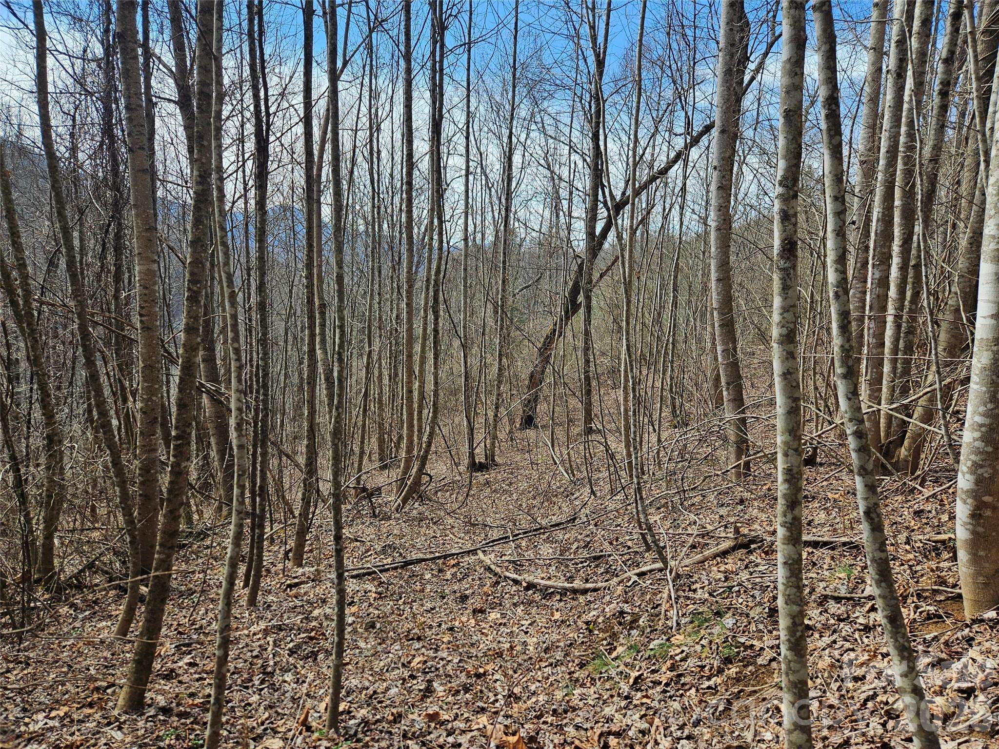 0 Woodfin RD, Sylva, NC 28779