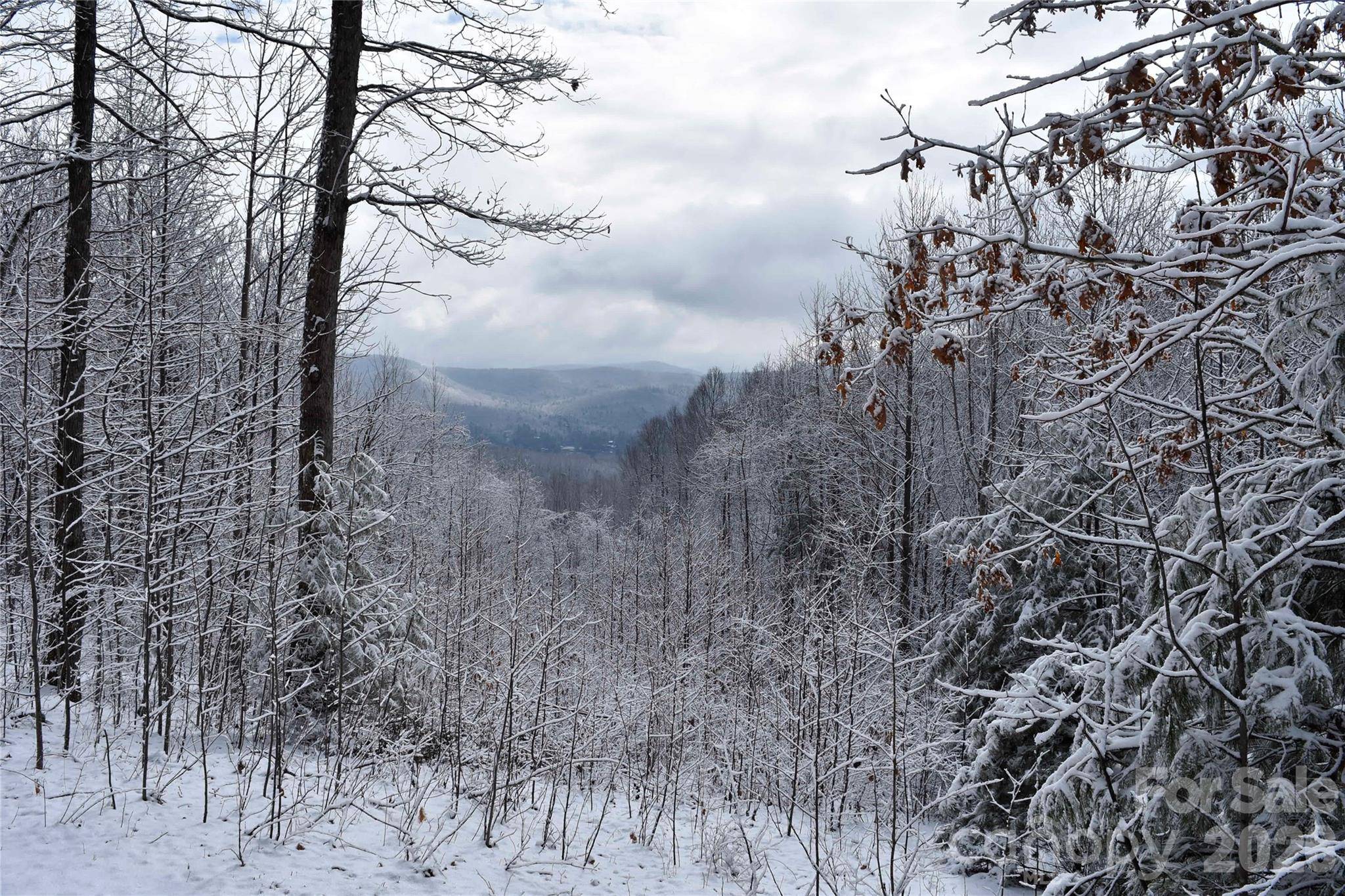 0000 Pinnacle Mountain RD #Lots 1,2,3,4, Zirconia, NC 28790