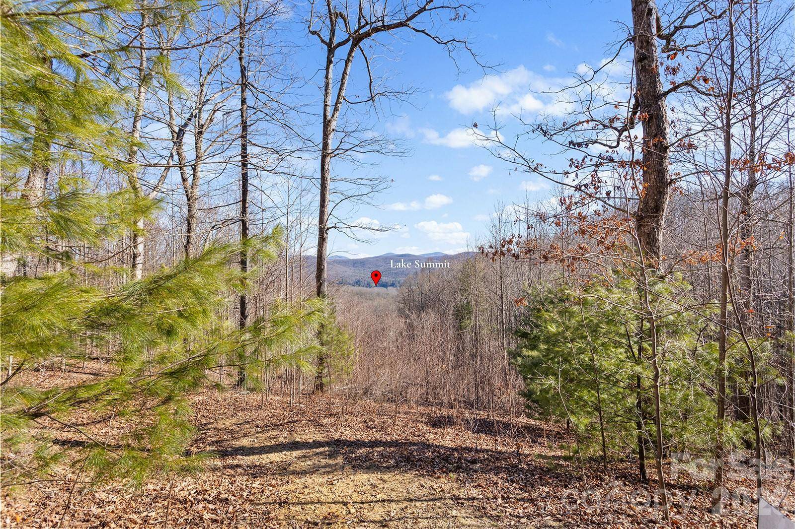 0000 Pinnacle Mountain RD #Lots 1,2,3,4, Zirconia, NC 28790