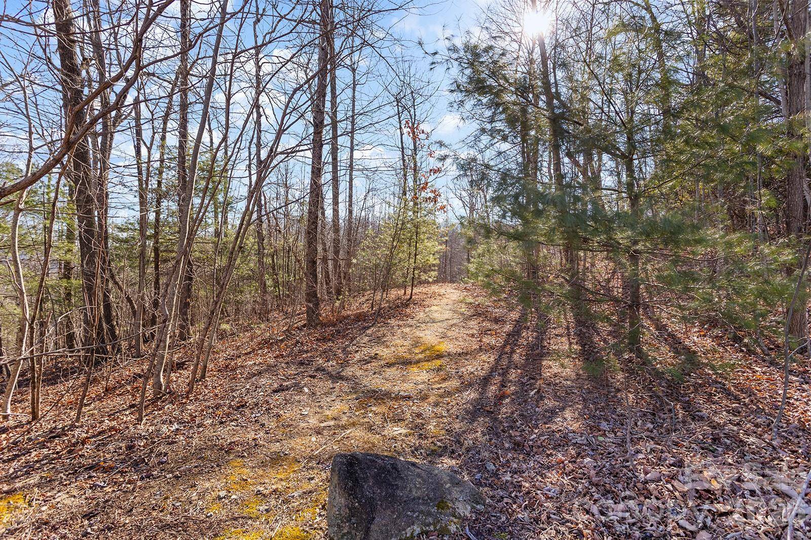 0000 Pinnacle Mountain RD #Lots 1,2,3,4, Zirconia, NC 28790