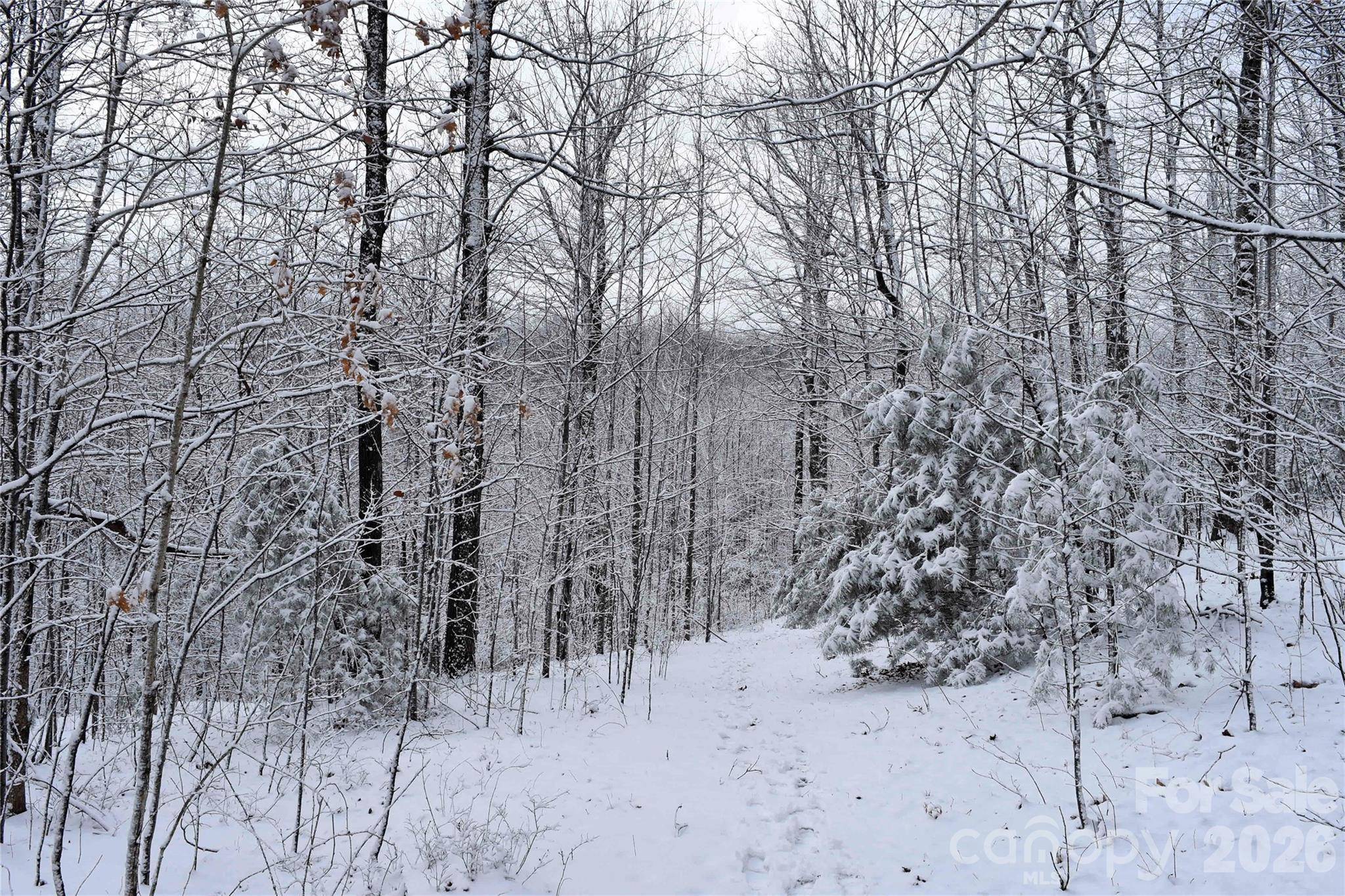 0000 Pinnacle Mountain RD #Lots 1,2,3,4, Zirconia, NC 28790