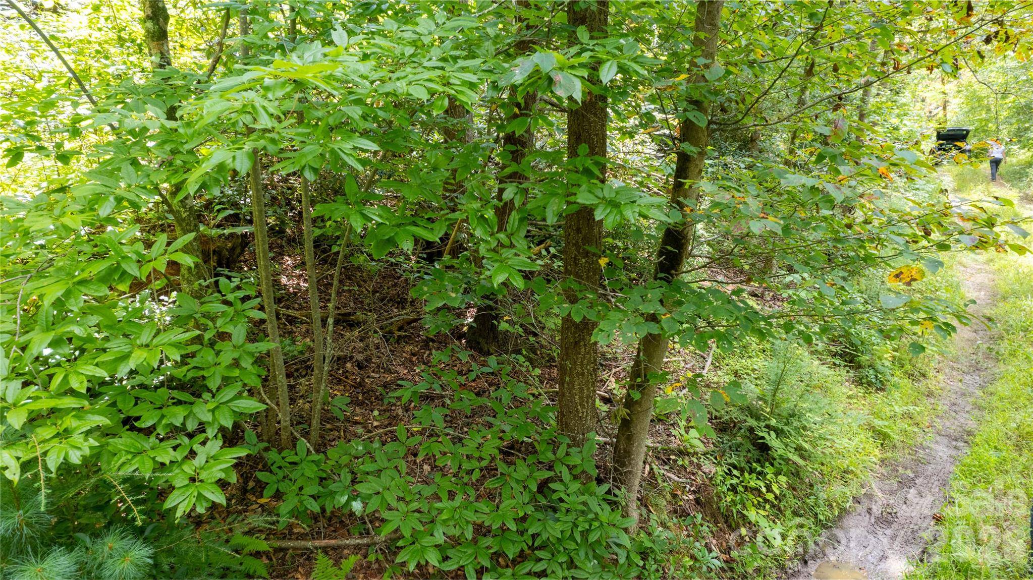 TBD Collettsville RD #9, Collettsville, NC 28611