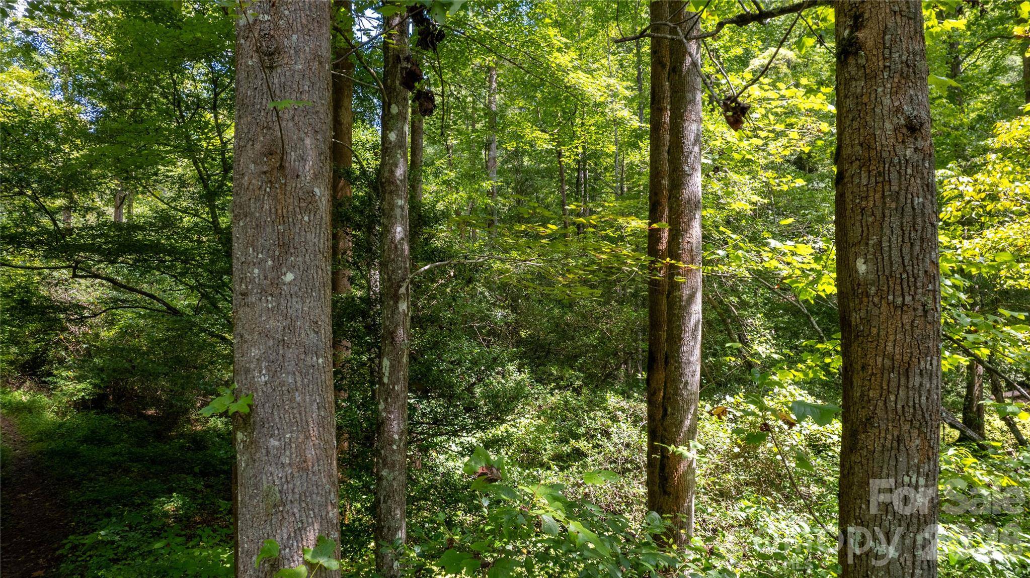 TBD Collettsville RD #7, Collettsville, NC 28611