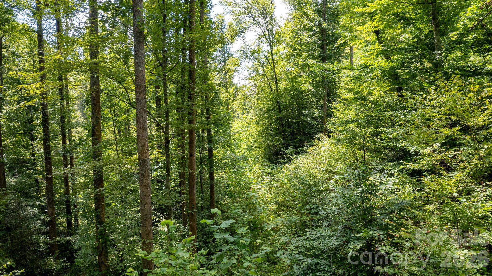 TBD Collettsville RD #11, Collettsville, NC 28611