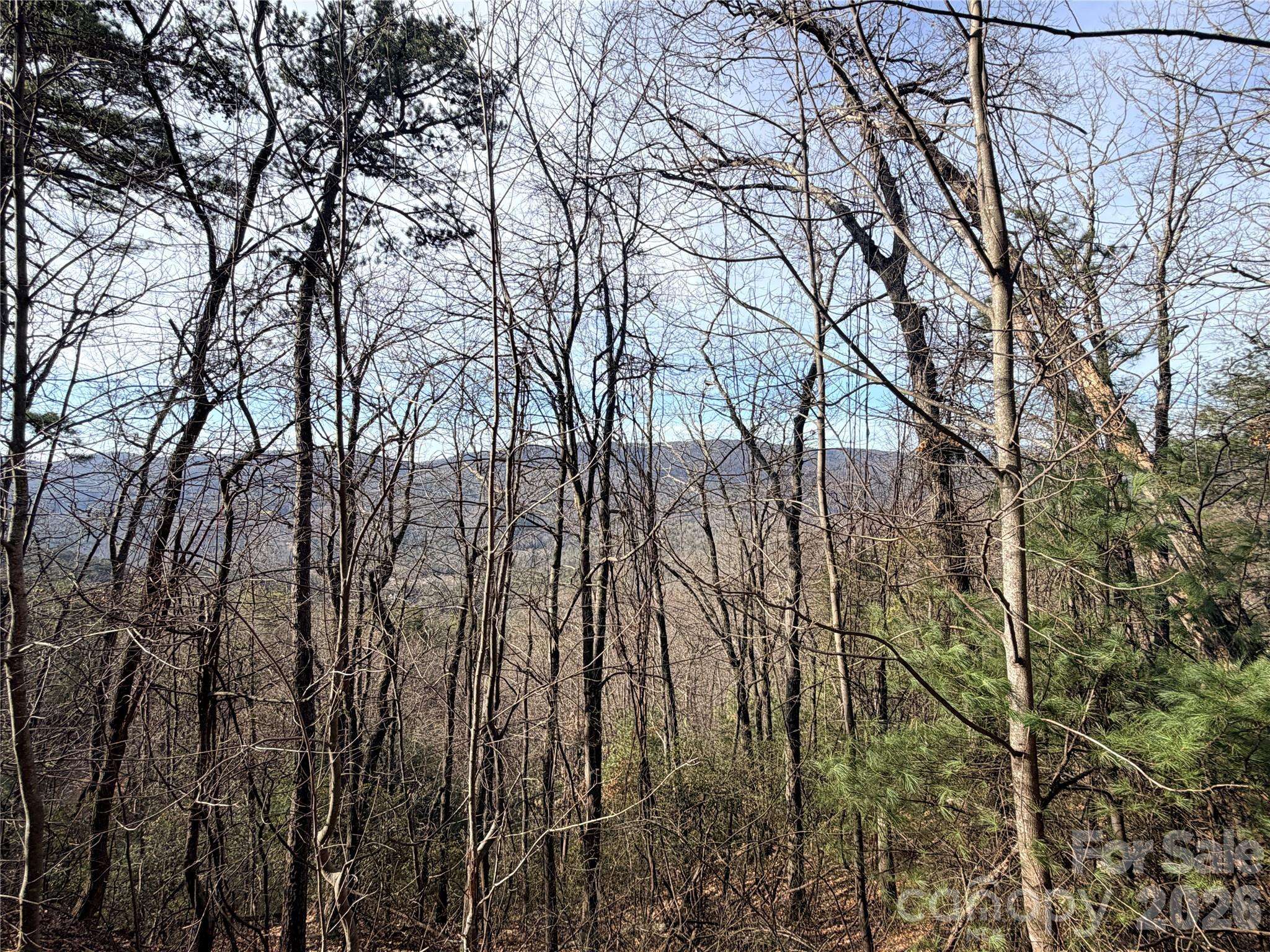 TBD Maple Valley LN #207 & 220, Purlear, NC 28665