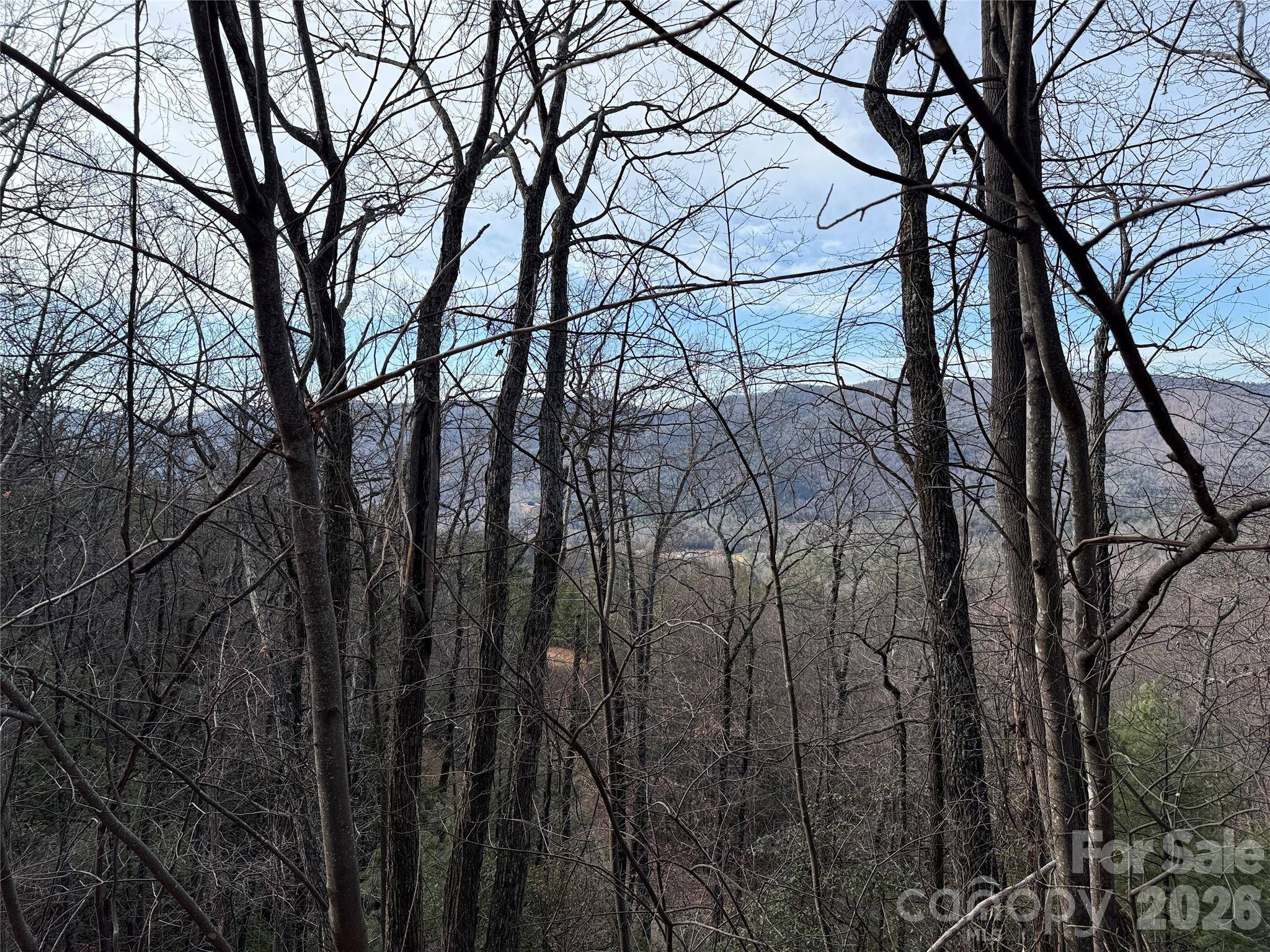 TBD Maple Valley LN #207 & 220, Purlear, NC 28665