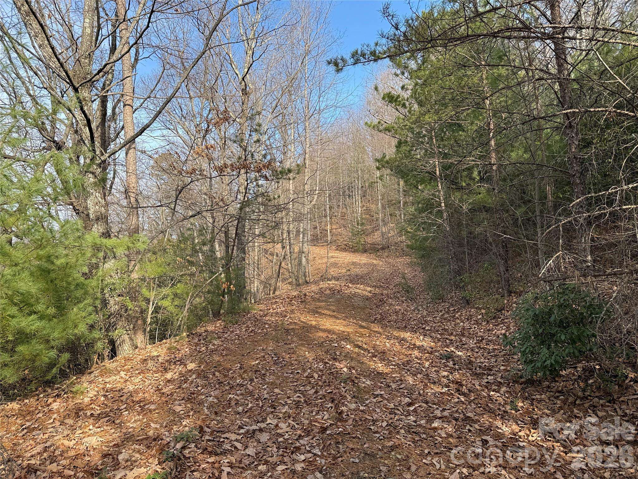 TBD Maple Valley LN #207 & 220, Purlear, NC 28665