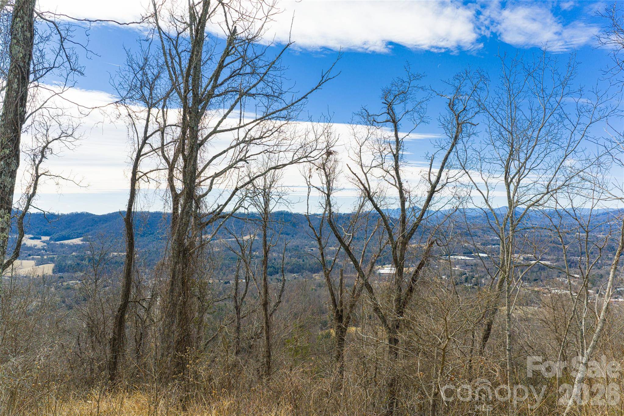 5 Longstreet CT #17, Weaverville, NC 28787