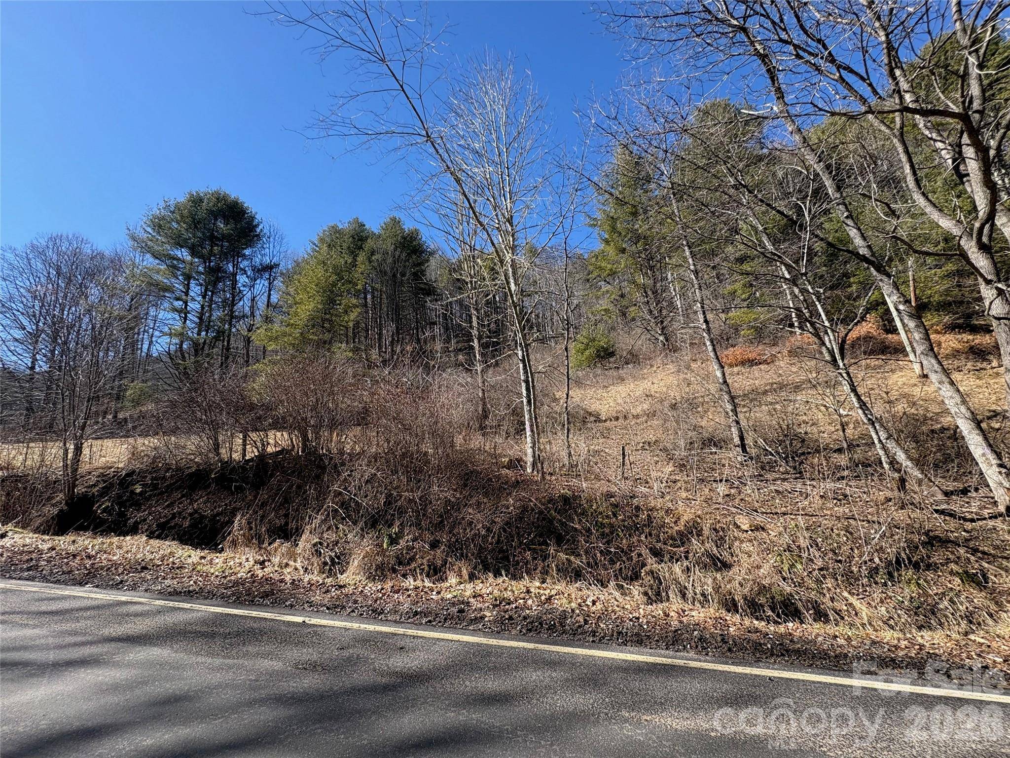 9999 Bee Log RD, Burnsville, NC 28714