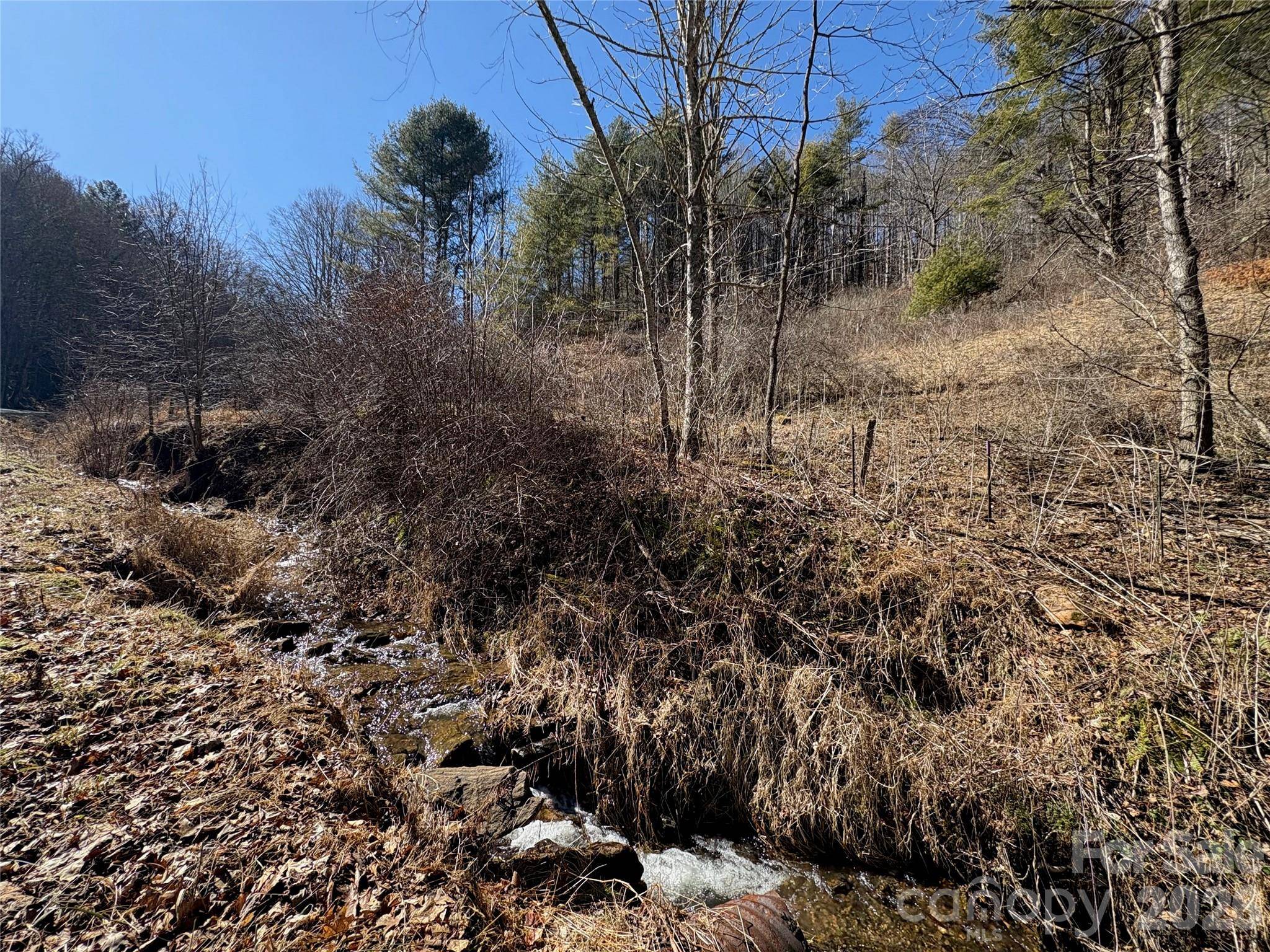 9999 Bee Log RD, Burnsville, NC 28714