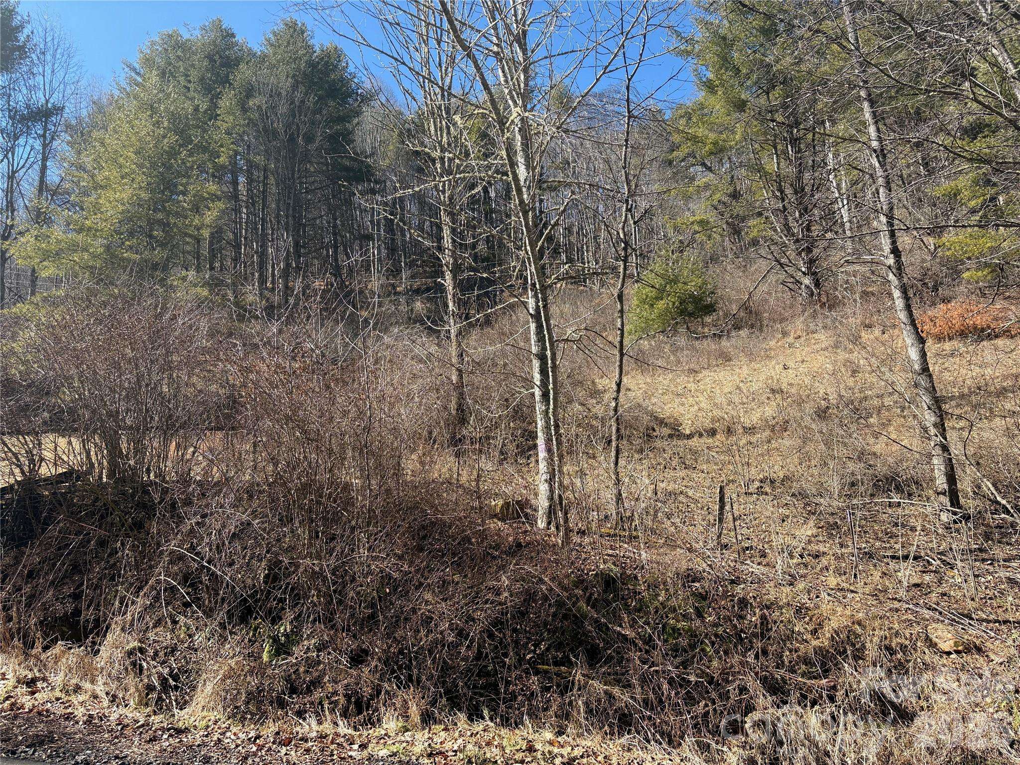 9999 Bee Log RD, Burnsville, NC 28714