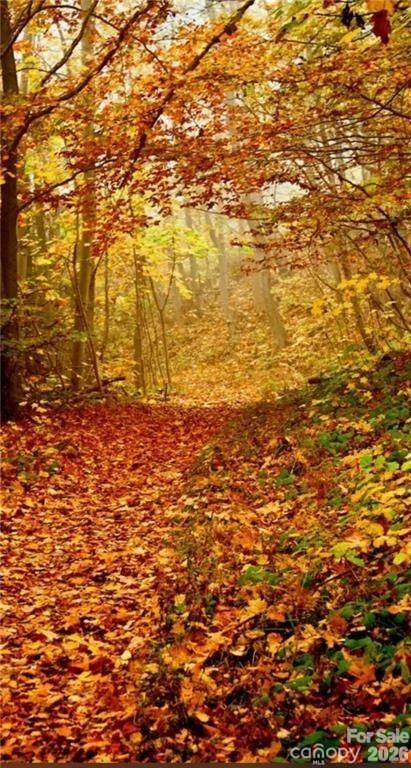 Lot E6 Unula LOOP #E6, Maggie Valley, NC 28751