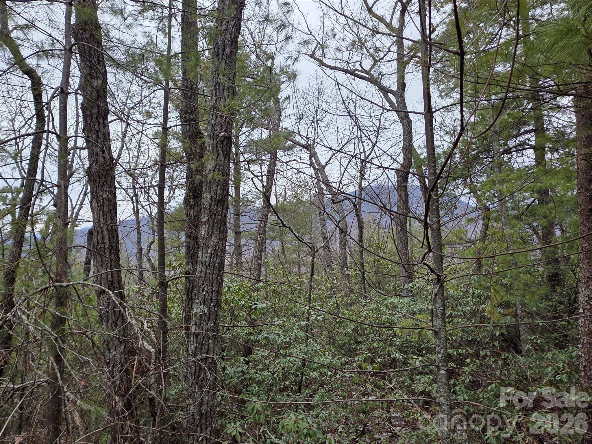 Lot 24A-28A Quail DR, Marion, NC 28752