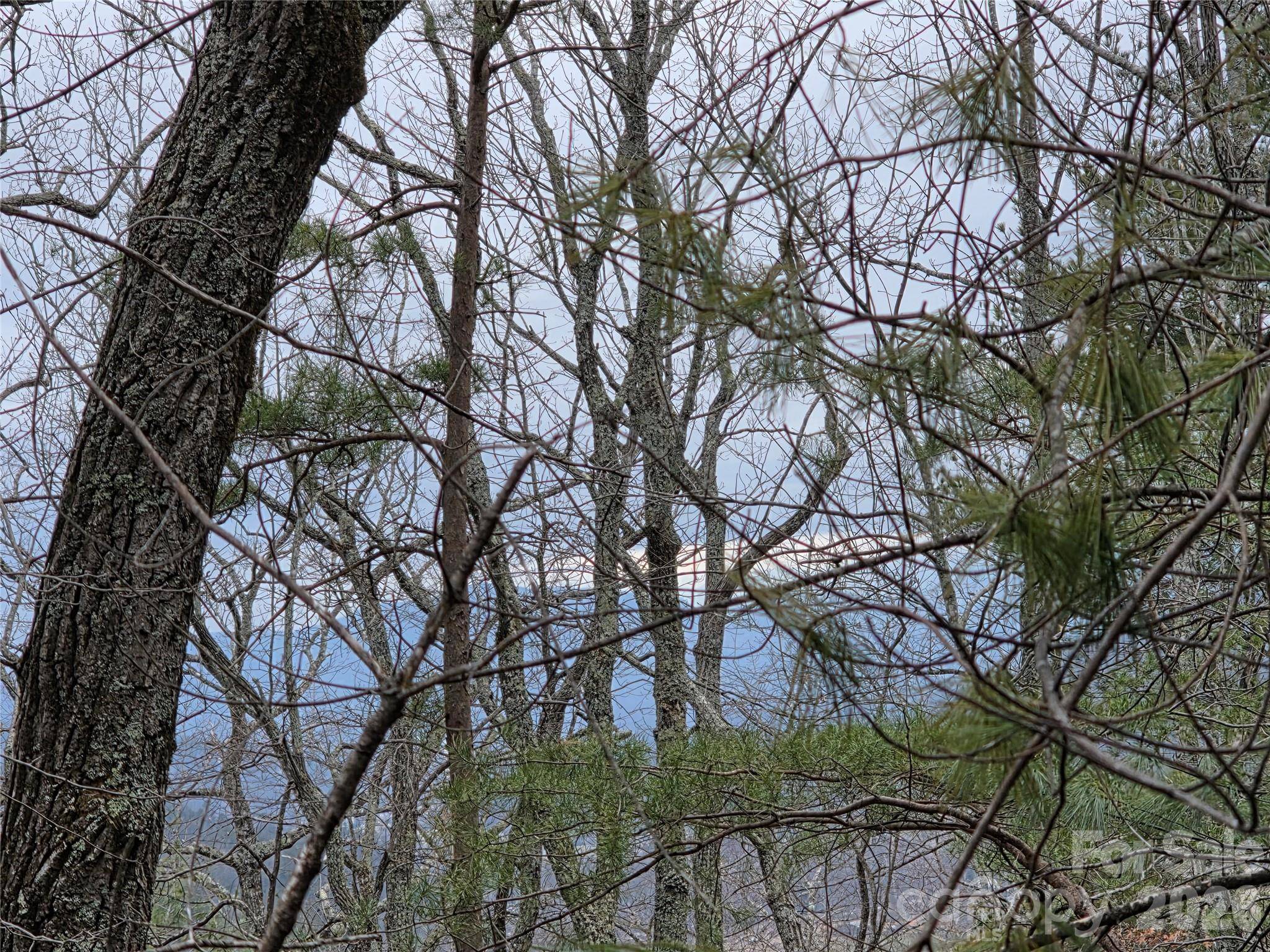 Lot 24A-28A Quail DR, Marion, NC 28752