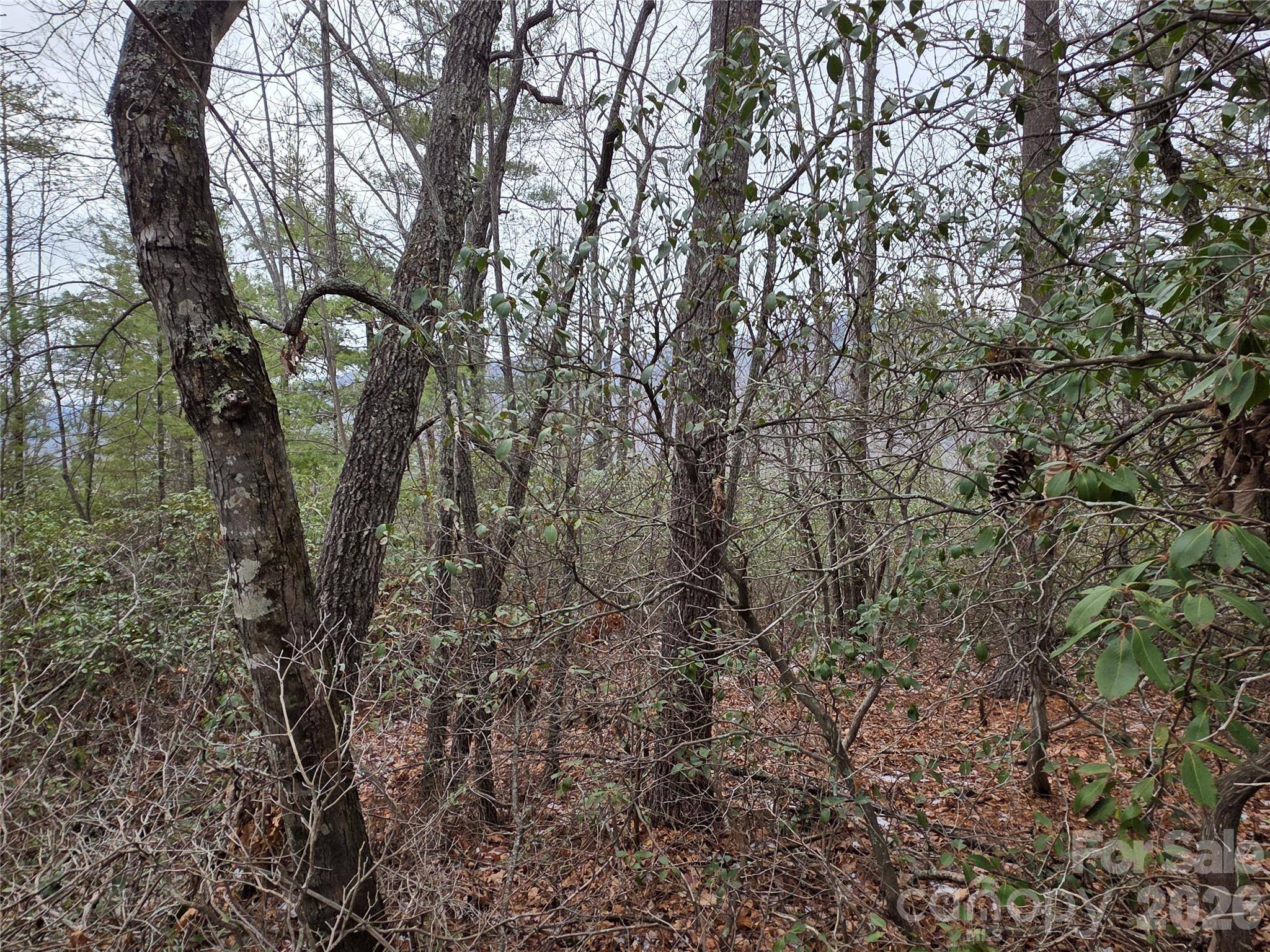Lot 24A-28A Quail DR, Marion, NC 28752
