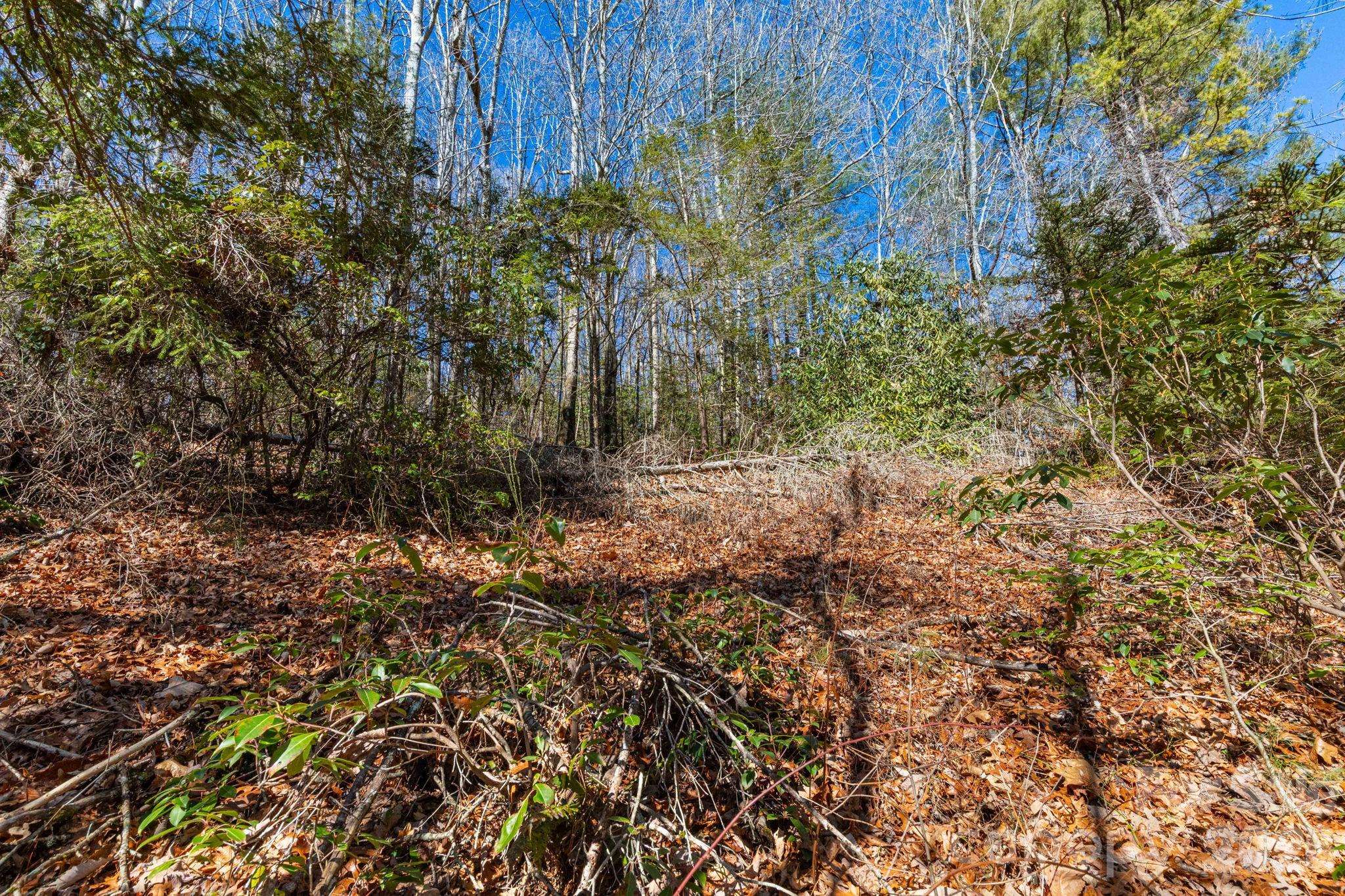 999 Flat Creek Valley RD, Lake Toxaway, NC 28747