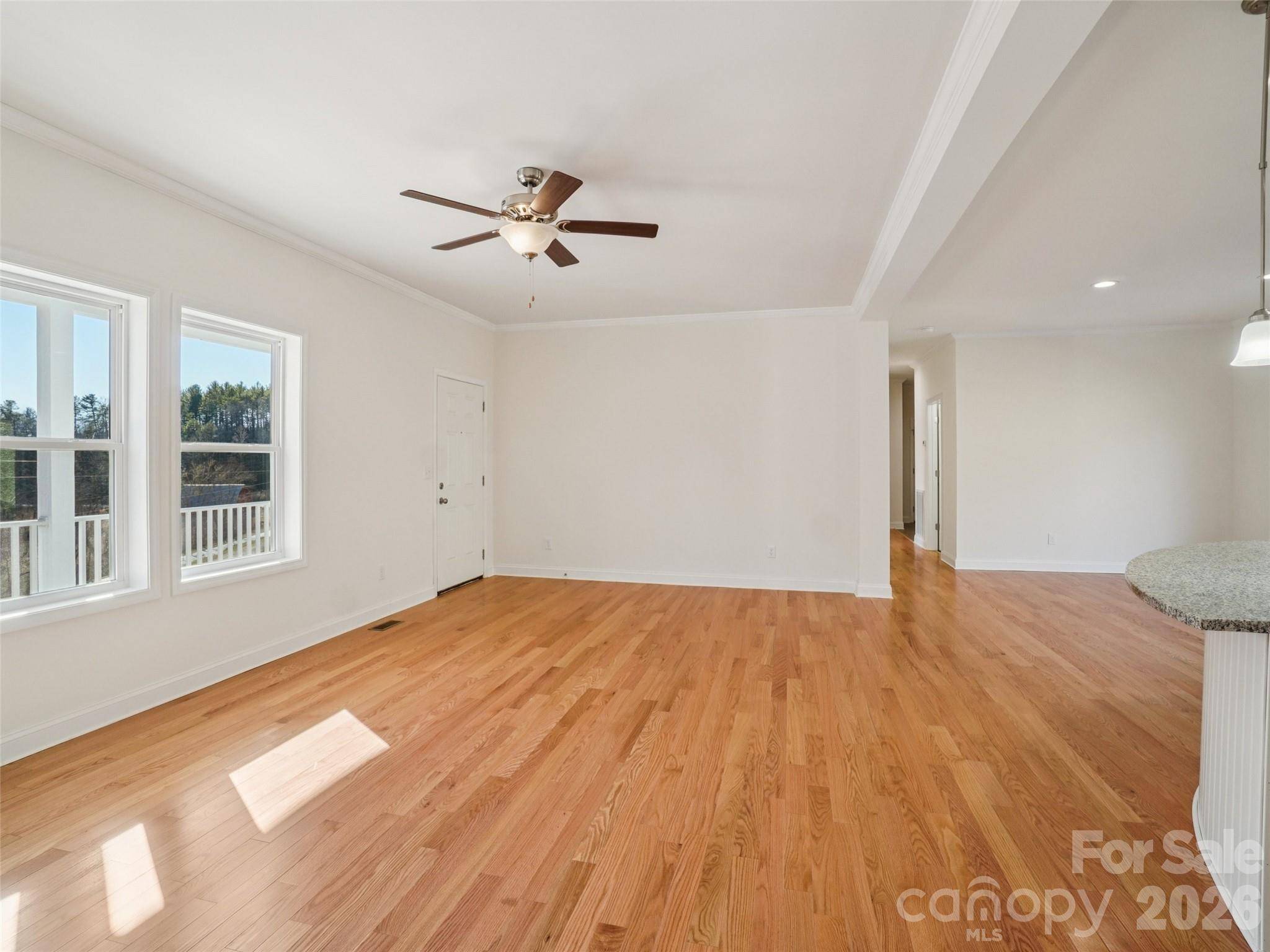 56 Big Branch DR, Mars Hill, NC 28754