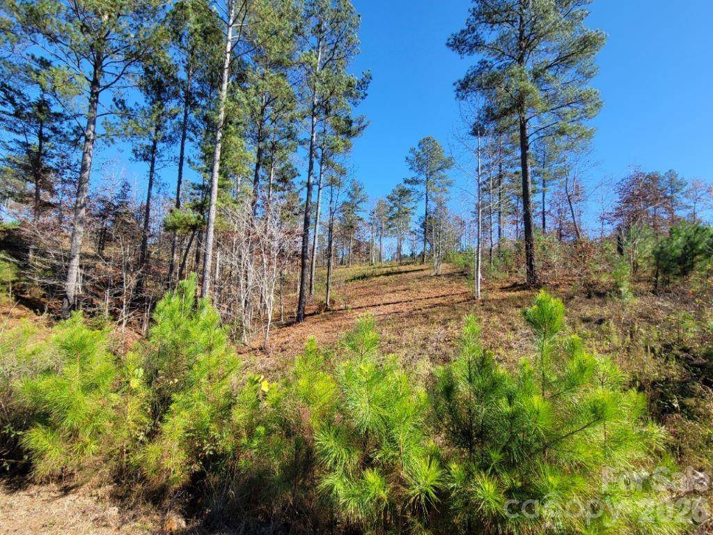 2076 Island View LN NE, Connelly Springs, NC 28612