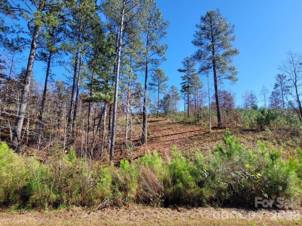 2076 Island View LN NE, Connelly Springs, NC 28612
