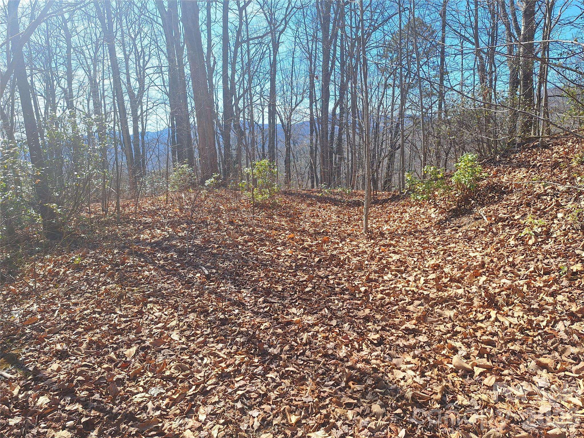 965 Wolf Pen RD, Old Fort, NC 28762