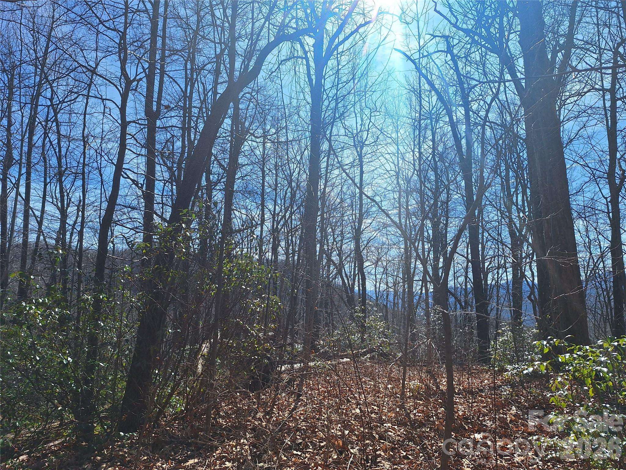 965 Wolf Pen RD, Old Fort, NC 28762