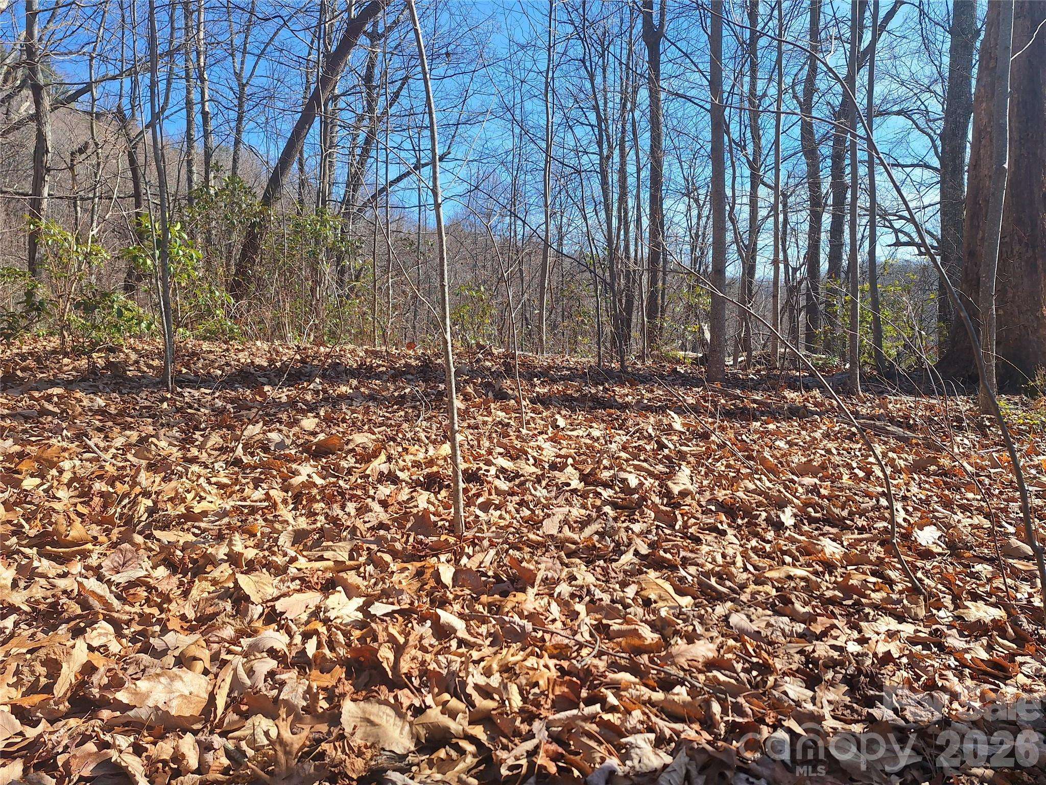 965 Wolf Pen RD, Old Fort, NC 28762