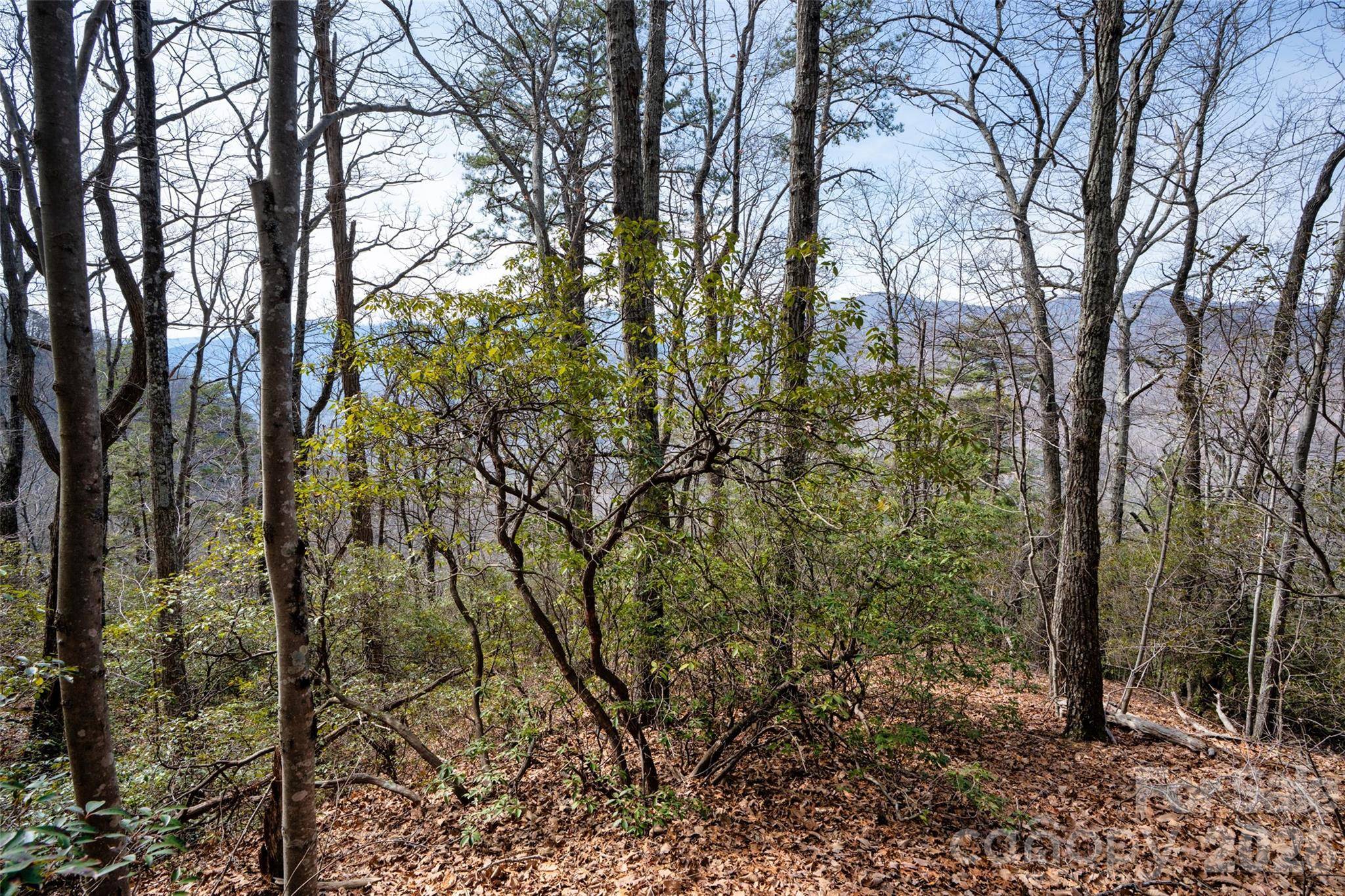 0 Rachel RDG, Lake Lure, NC 28746