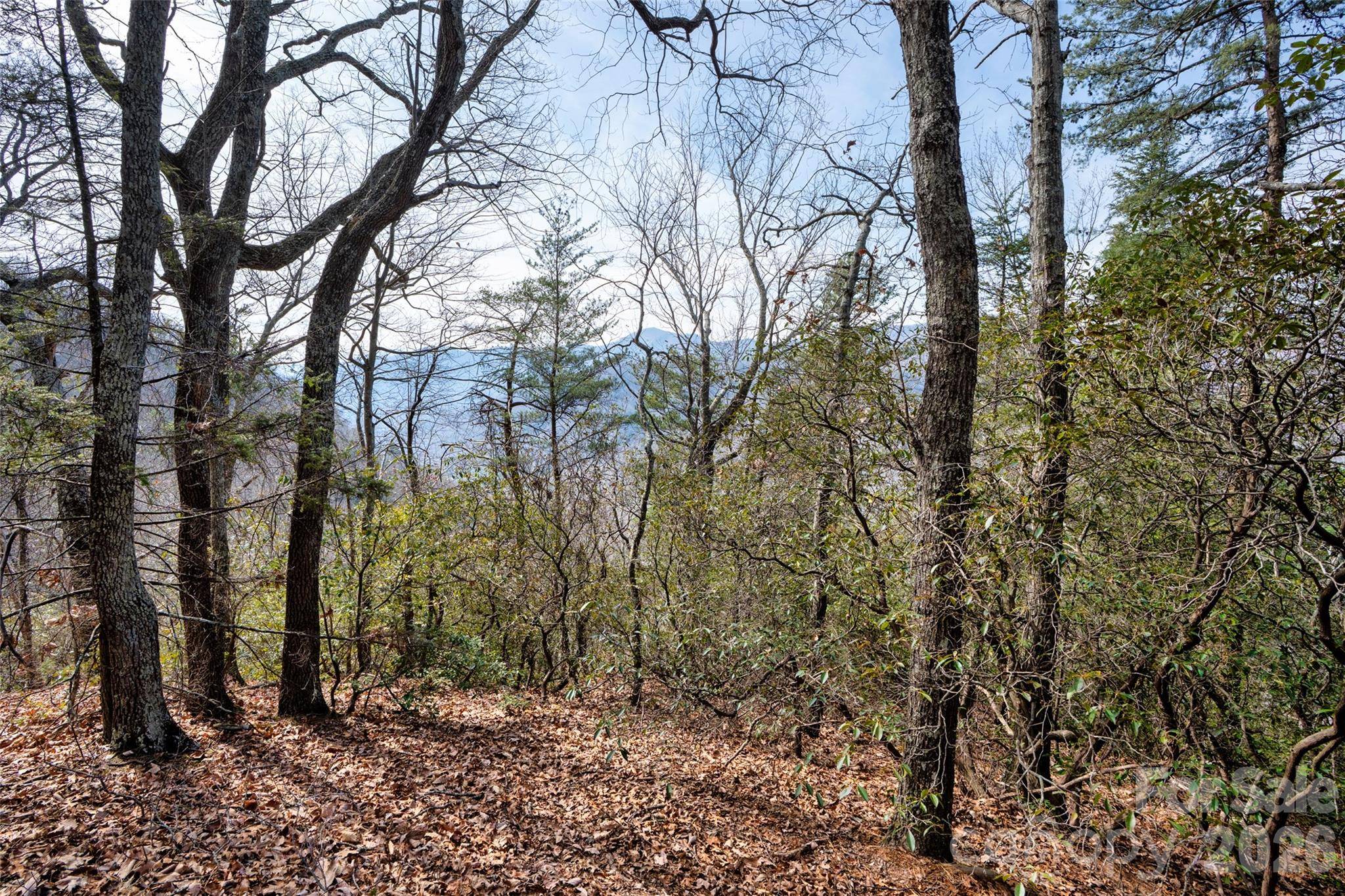 0 Rachel RDG, Lake Lure, NC 28746