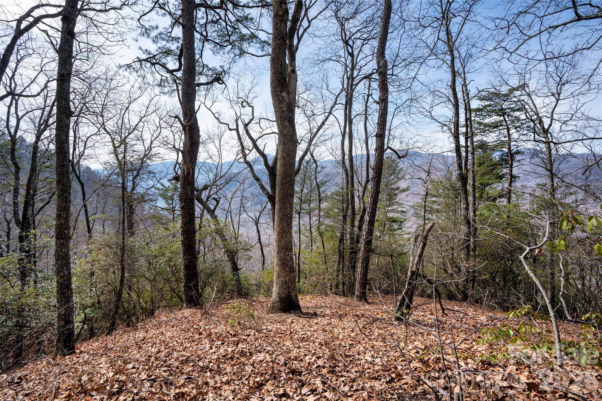 0 Rachel RDG, Lake Lure, NC 28746