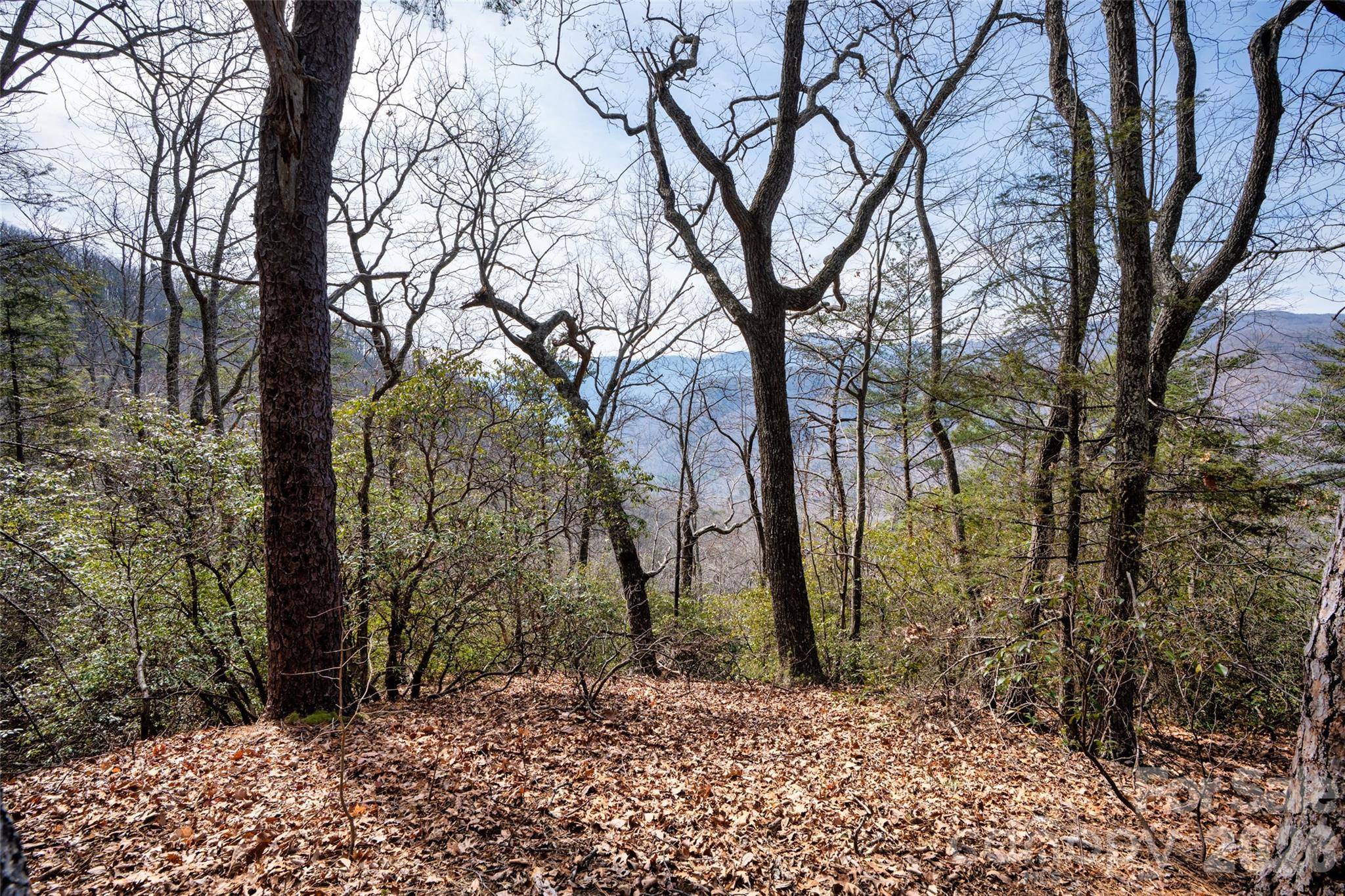 0 Rachel RDG, Lake Lure, NC 28746