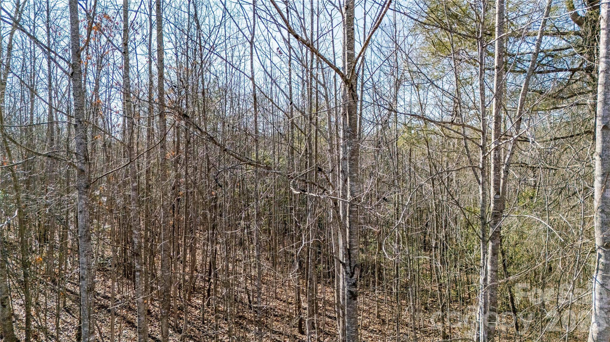 000 Eagles Nest DR #8, Marion, NC 28752