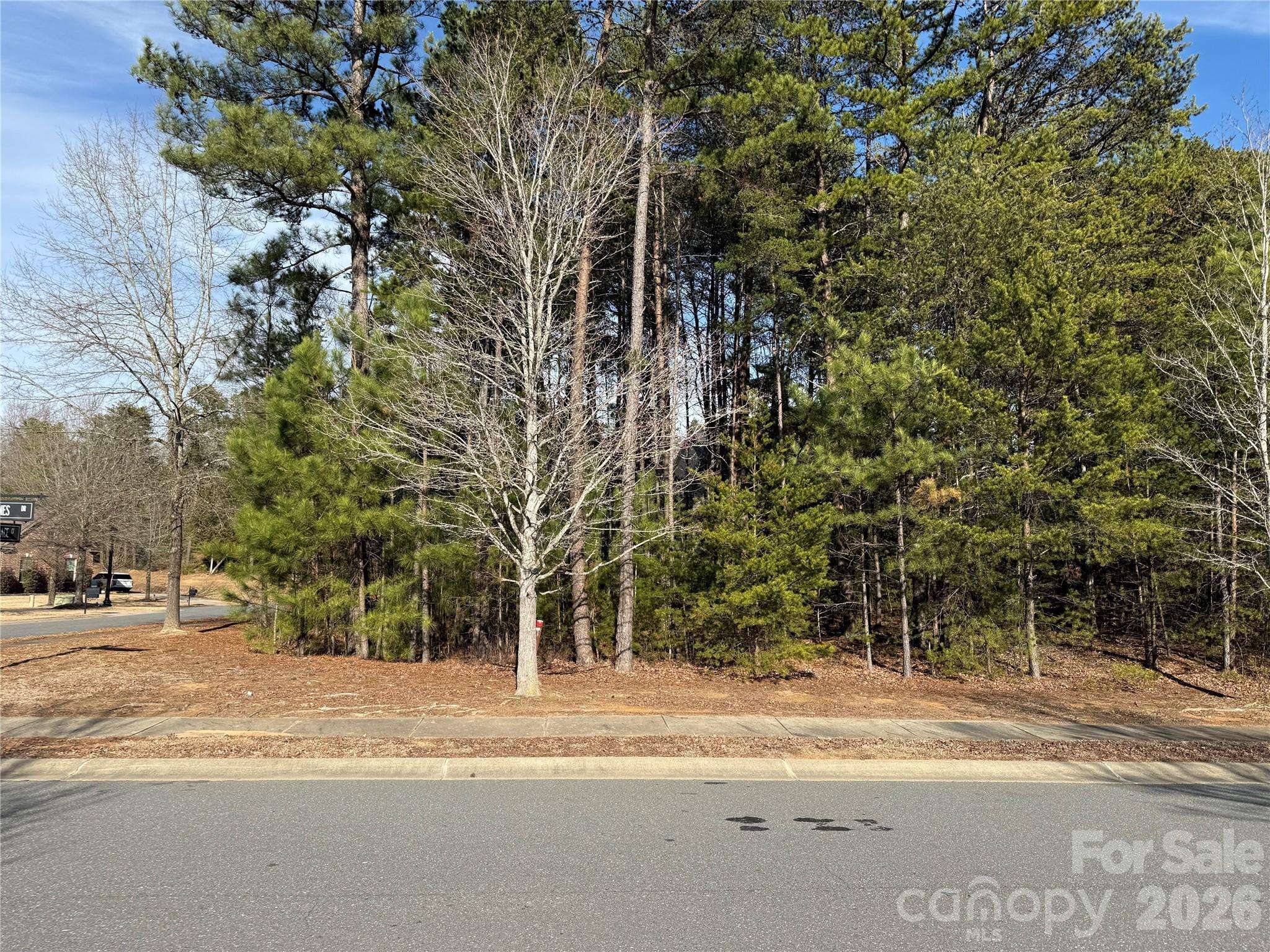 16213 Monnet Place CT, Charlotte, NC 28278