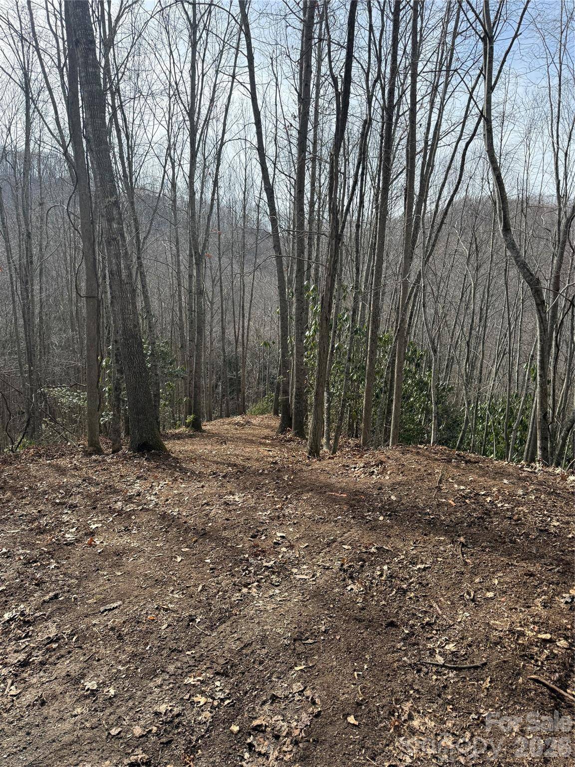 236 Down The Hill RD, Sylva, NC 28779