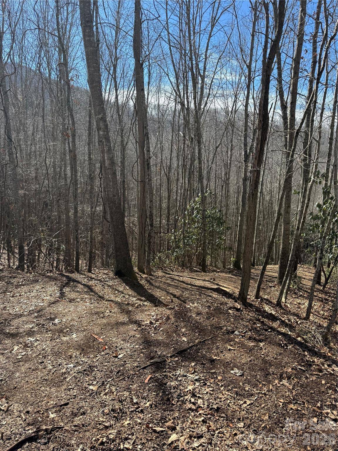 236 Down The Hill RD, Sylva, NC 28779