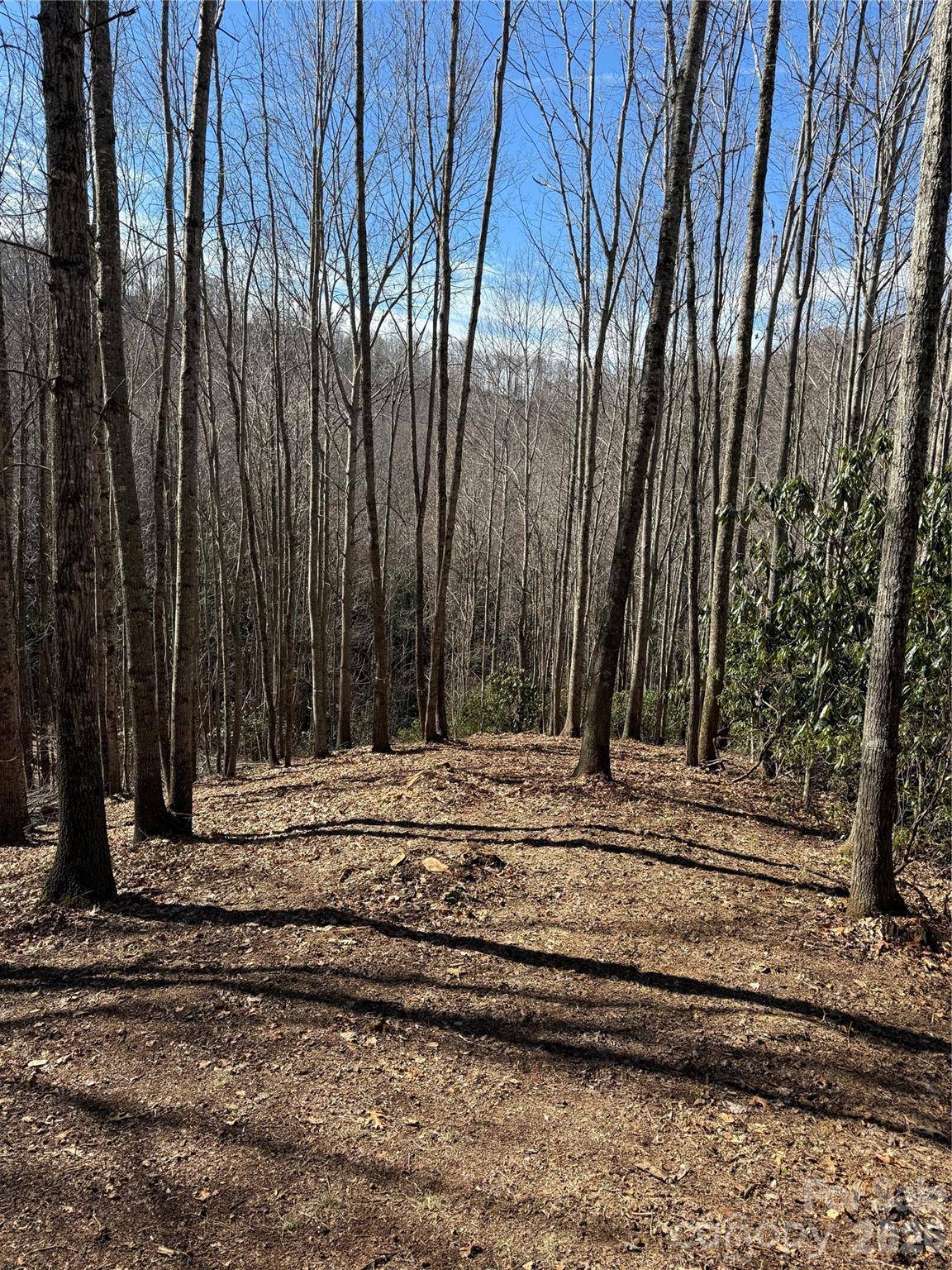 236 Down The Hill RD, Sylva, NC 28779