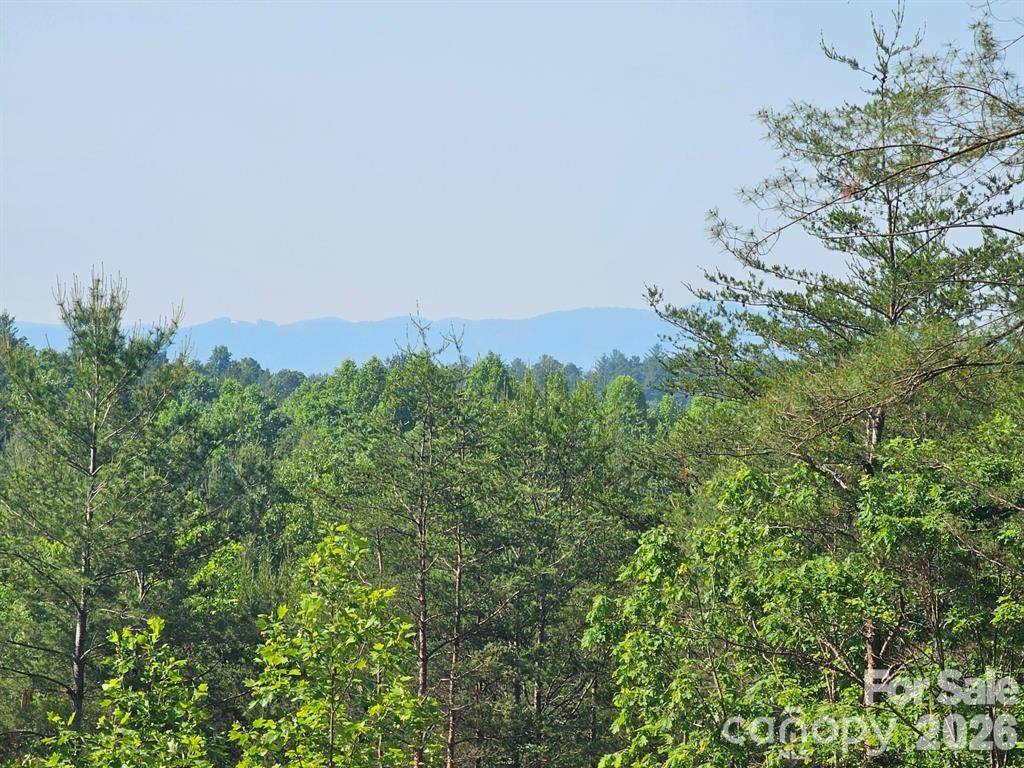 2127 Robert DR #19 20, Morganton, NC 28655