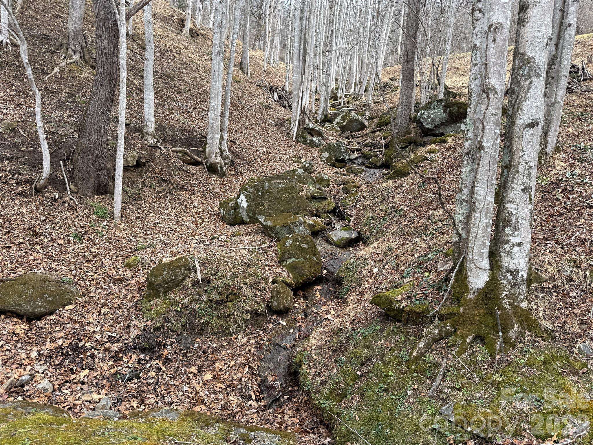 1975 Utah Mountain RD #19, Waynesville, NC 28785