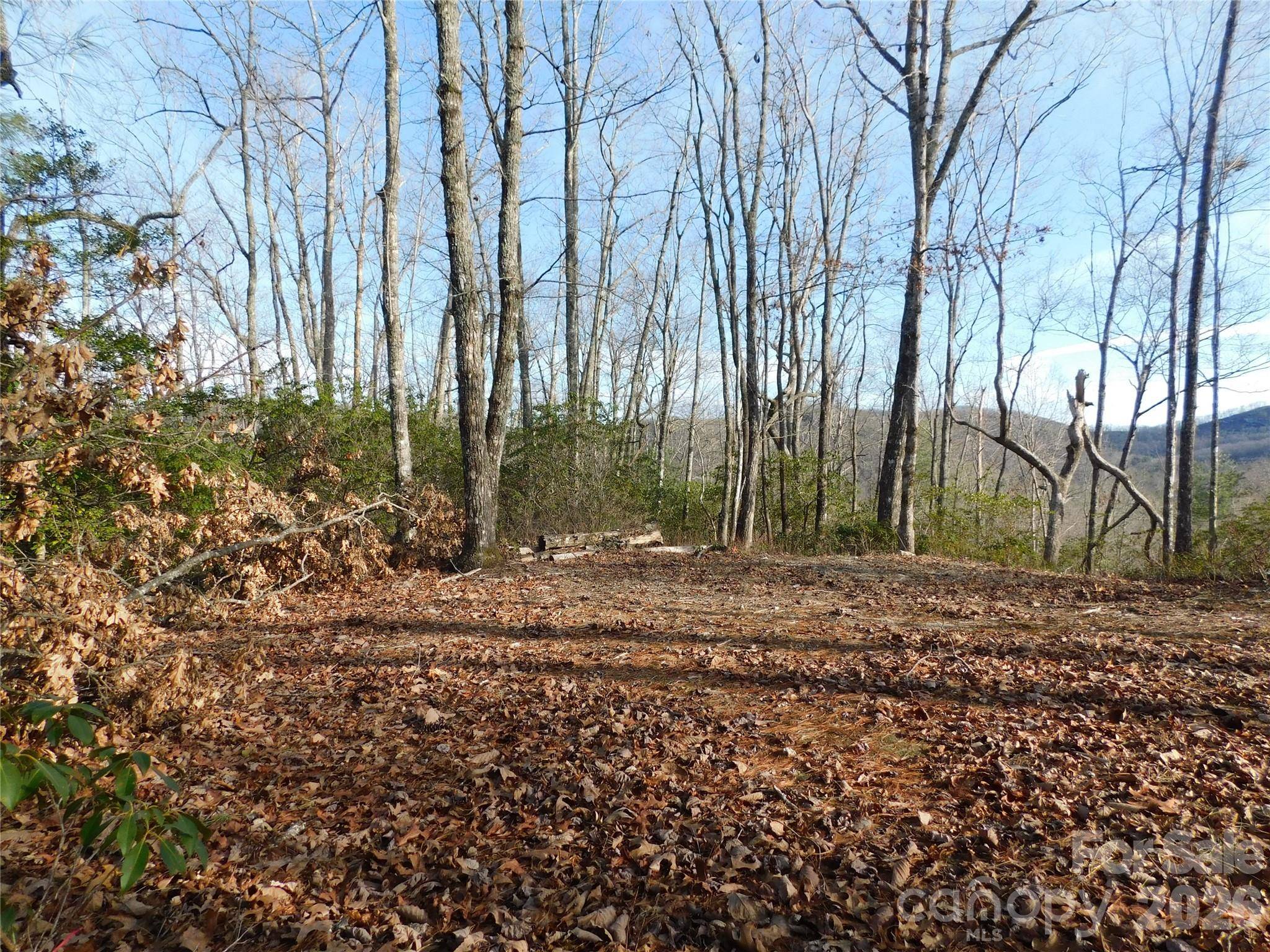 154 Laurel Thicket DR #98, Brevard, NC 28712
