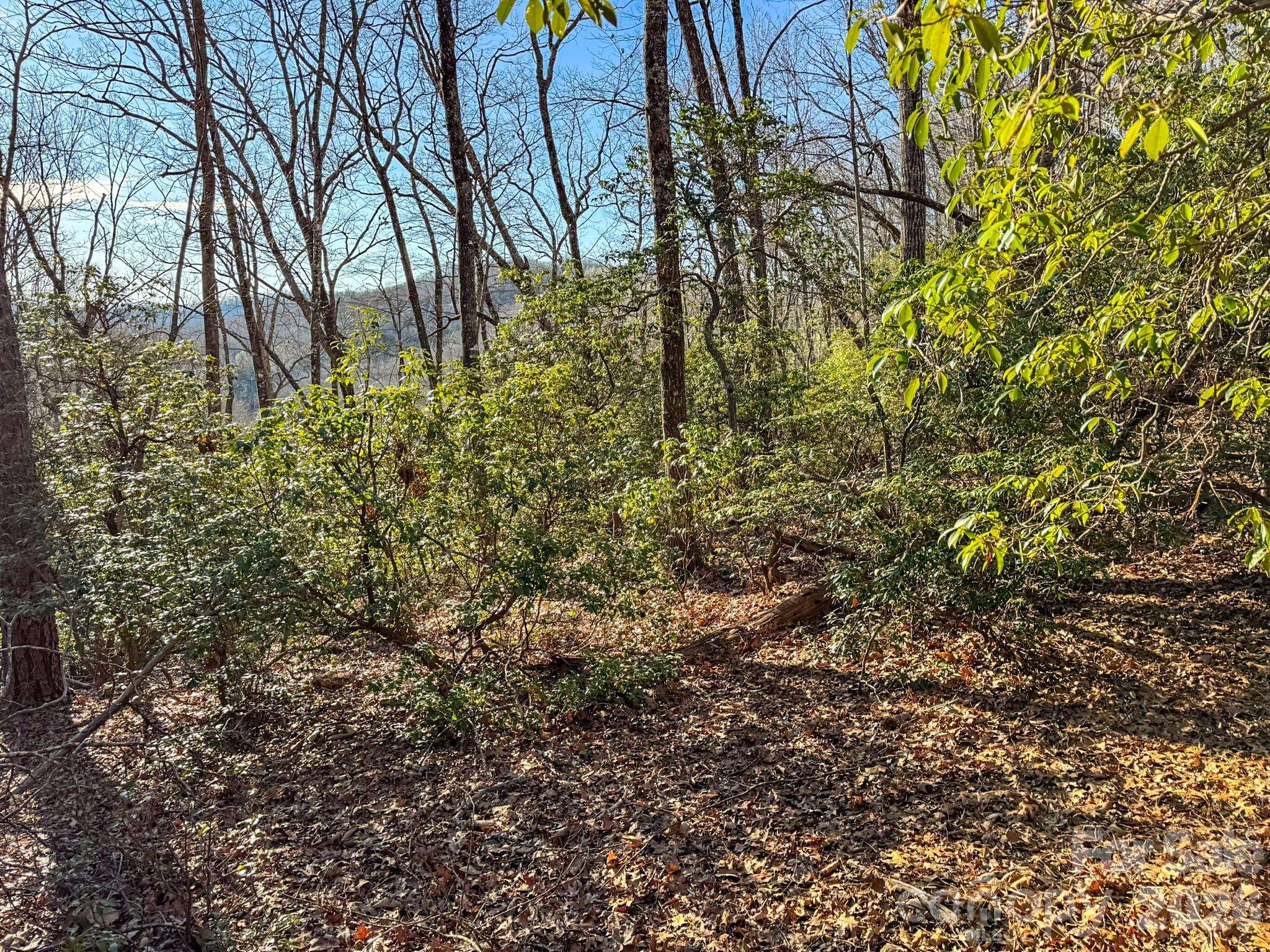 1647 Mills River WAY, Horse Shoe, NC 28742