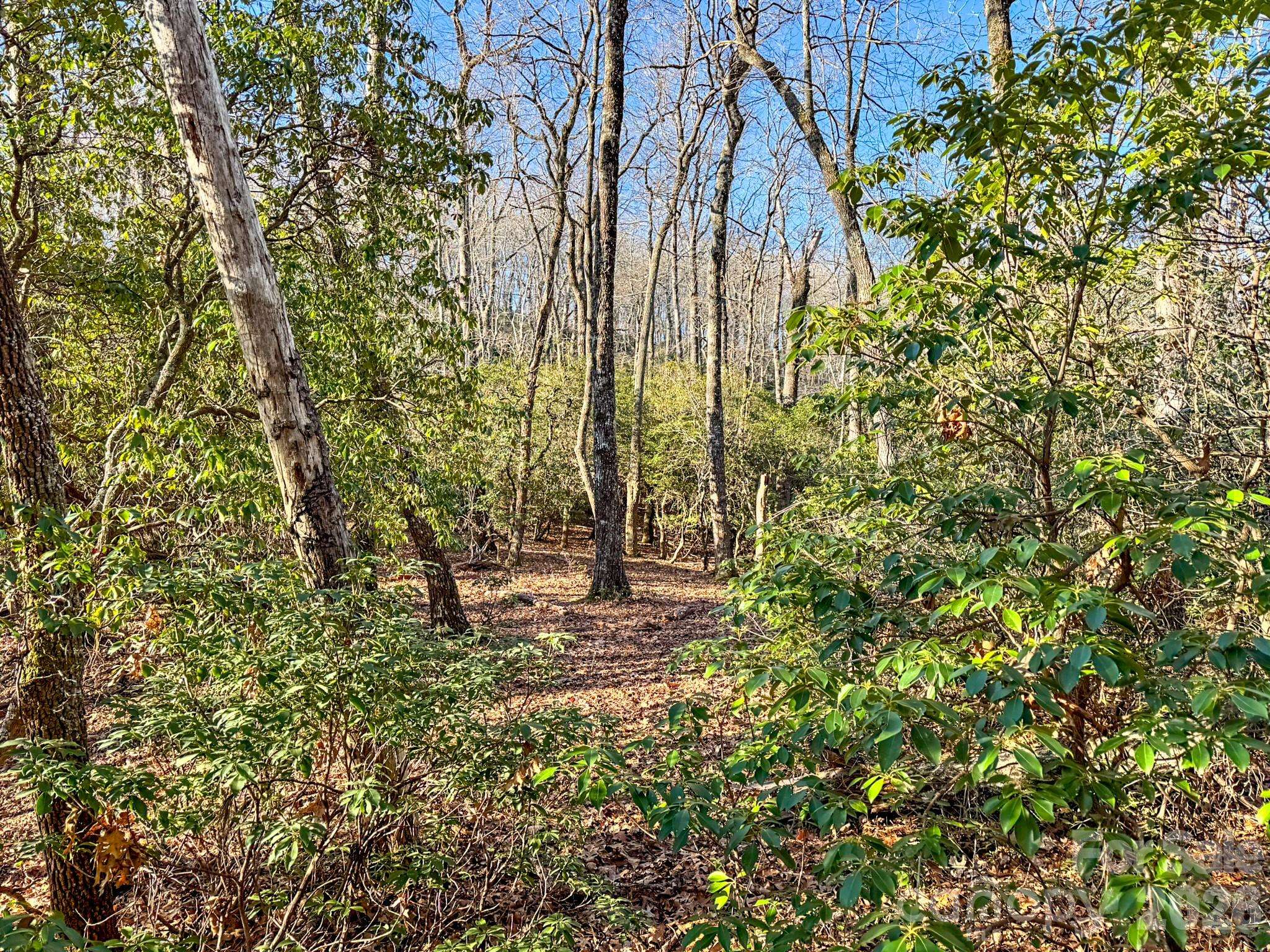1647 Mills River WAY, Horse Shoe, NC 28742
